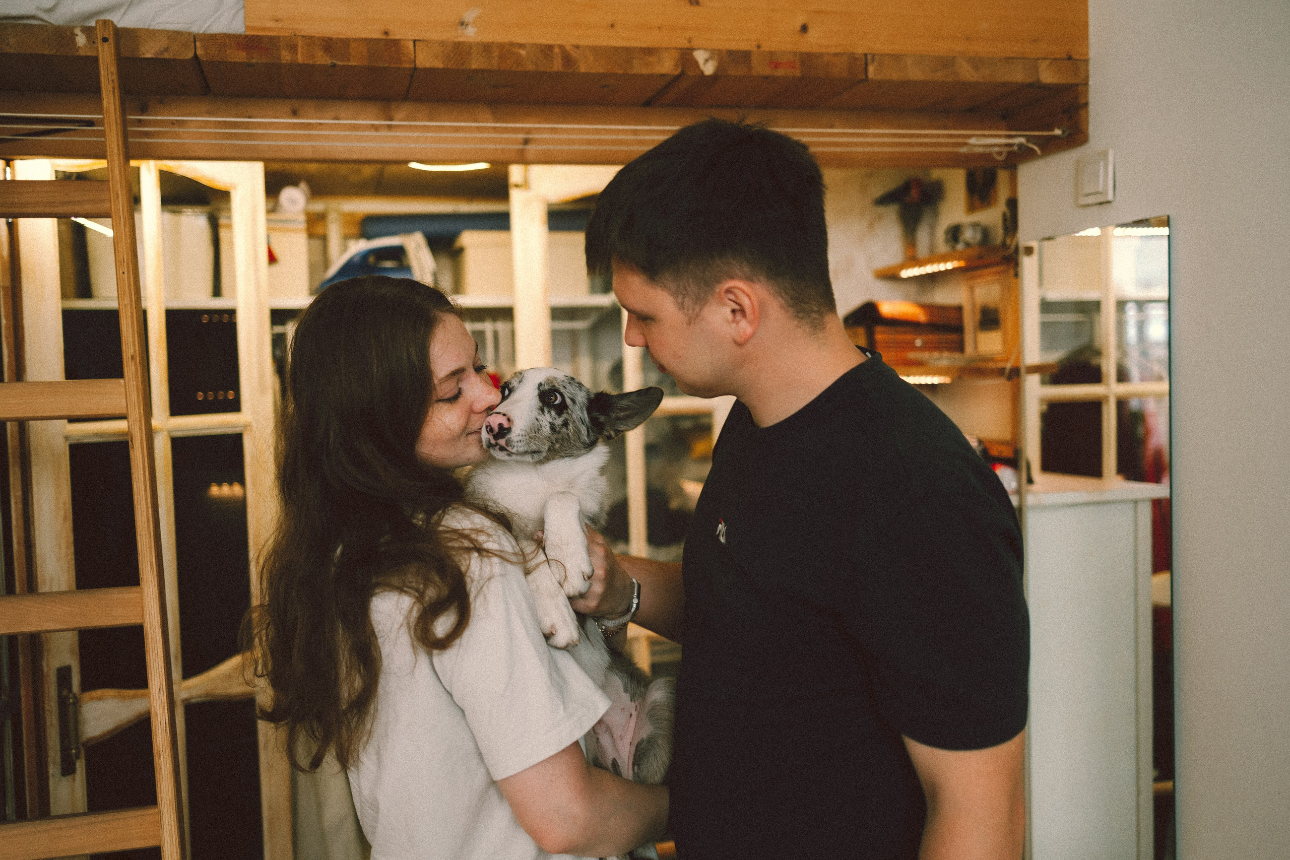 Ника, Снейп, Кеби, Лиля и Никита. Фотограф анималист Анастасия Пикей