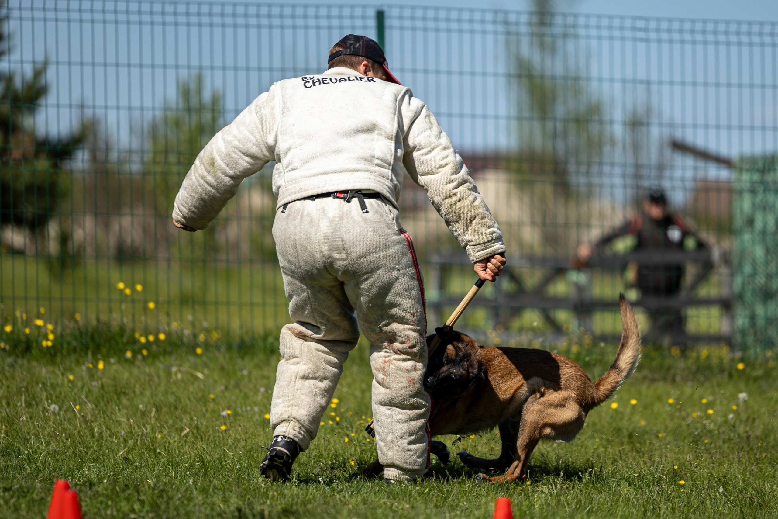 Испытания по мондьорингу в Нижнем Новгороде. Фотограф-анималист Анна Маринич