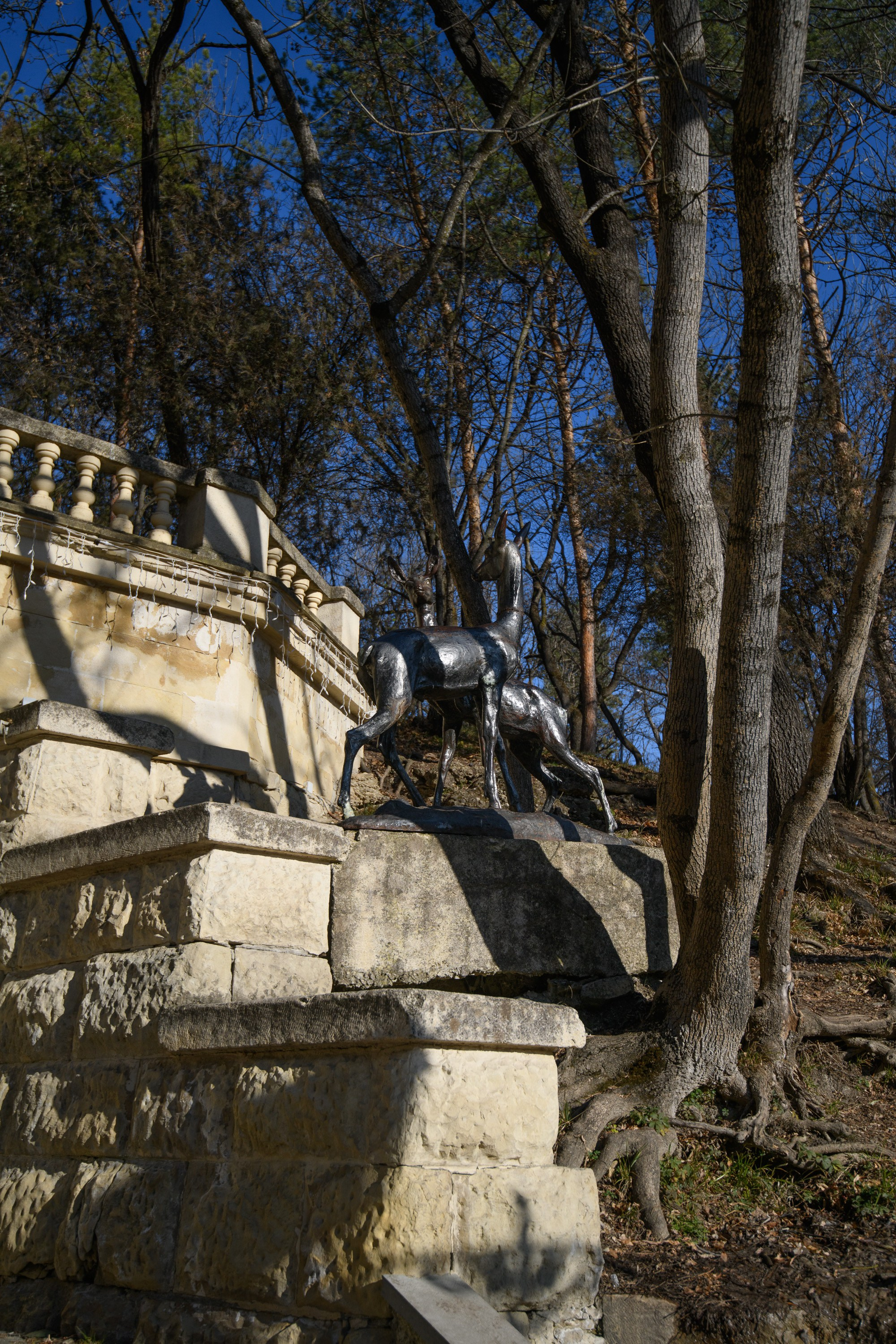 Ессентуки. Профессиональная фотосъемка. Ростов-на-Дону