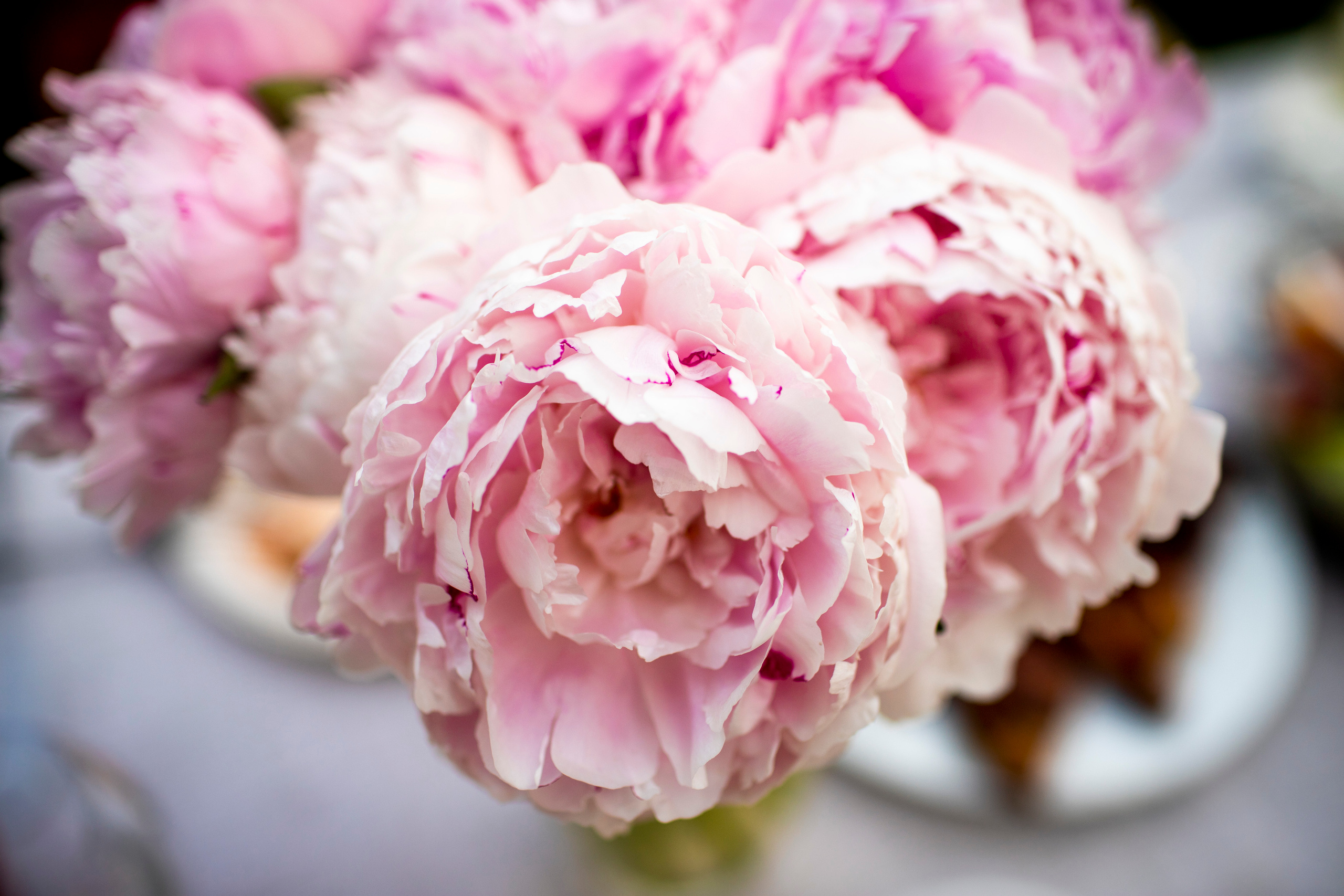 Событие. Фотограф и видеограф в Москве