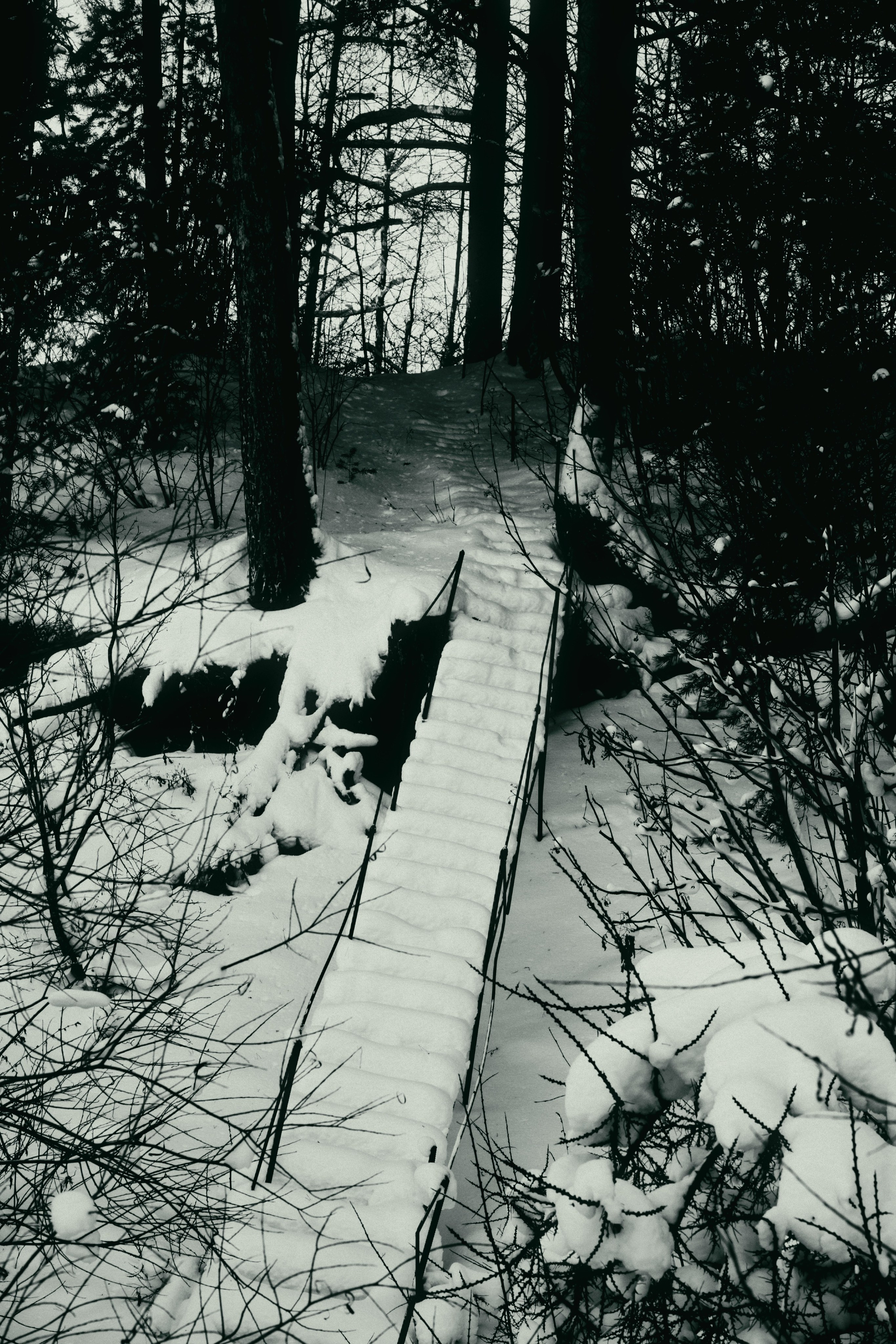 ЧБ. Фотограф-любитель из Кирова Андрей Погребняк