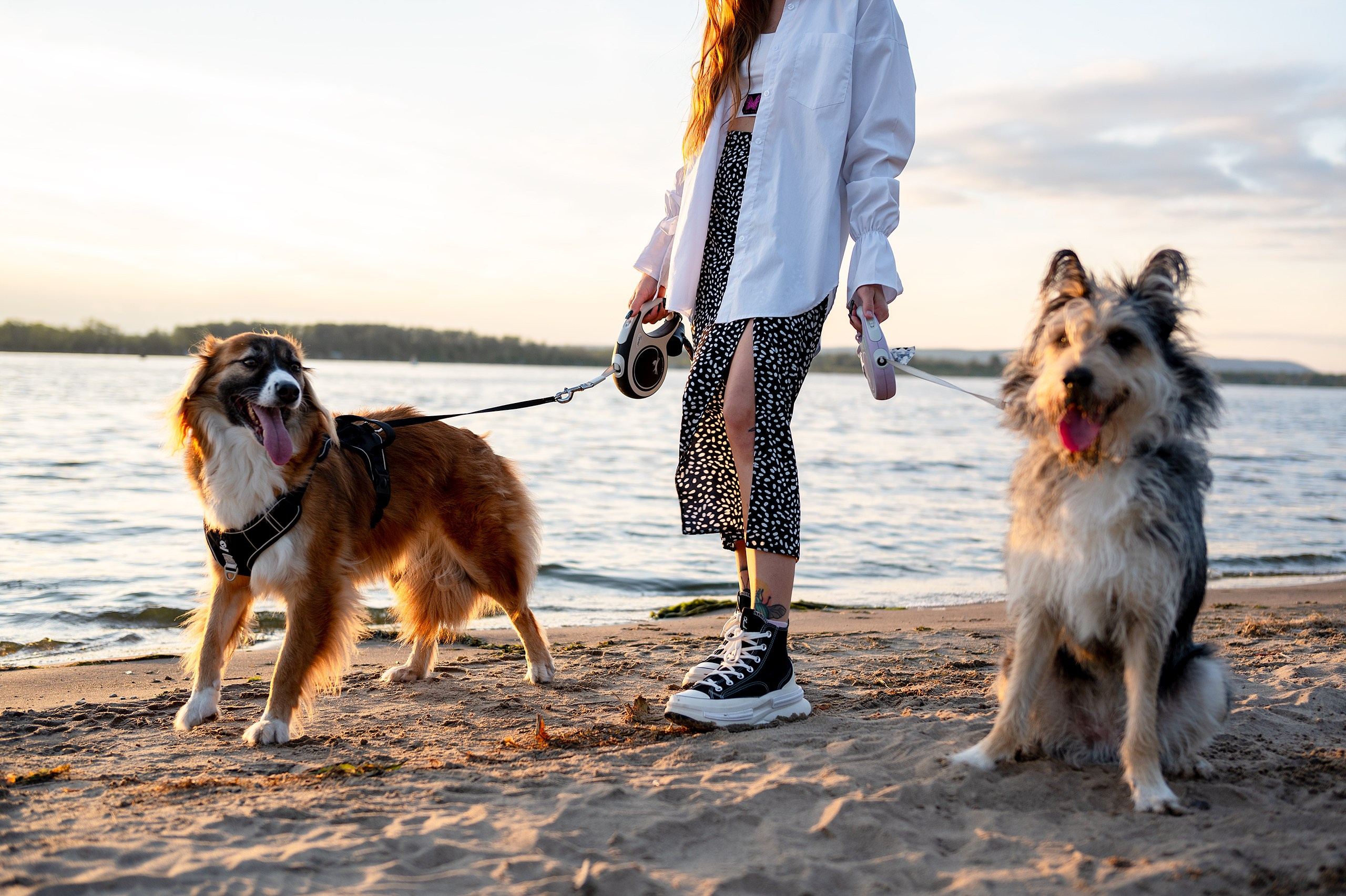 Лиза, Клопа и Хрюша. Главная