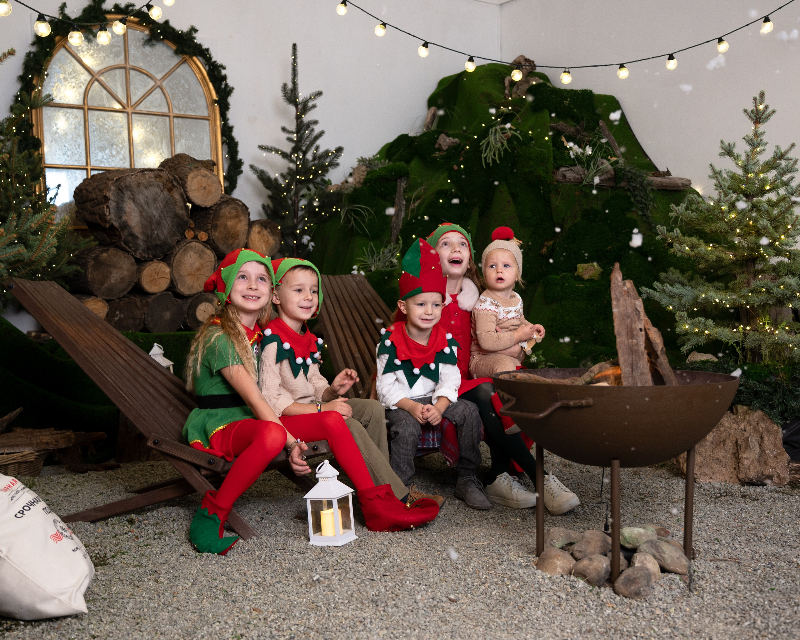 Гномики. Главная