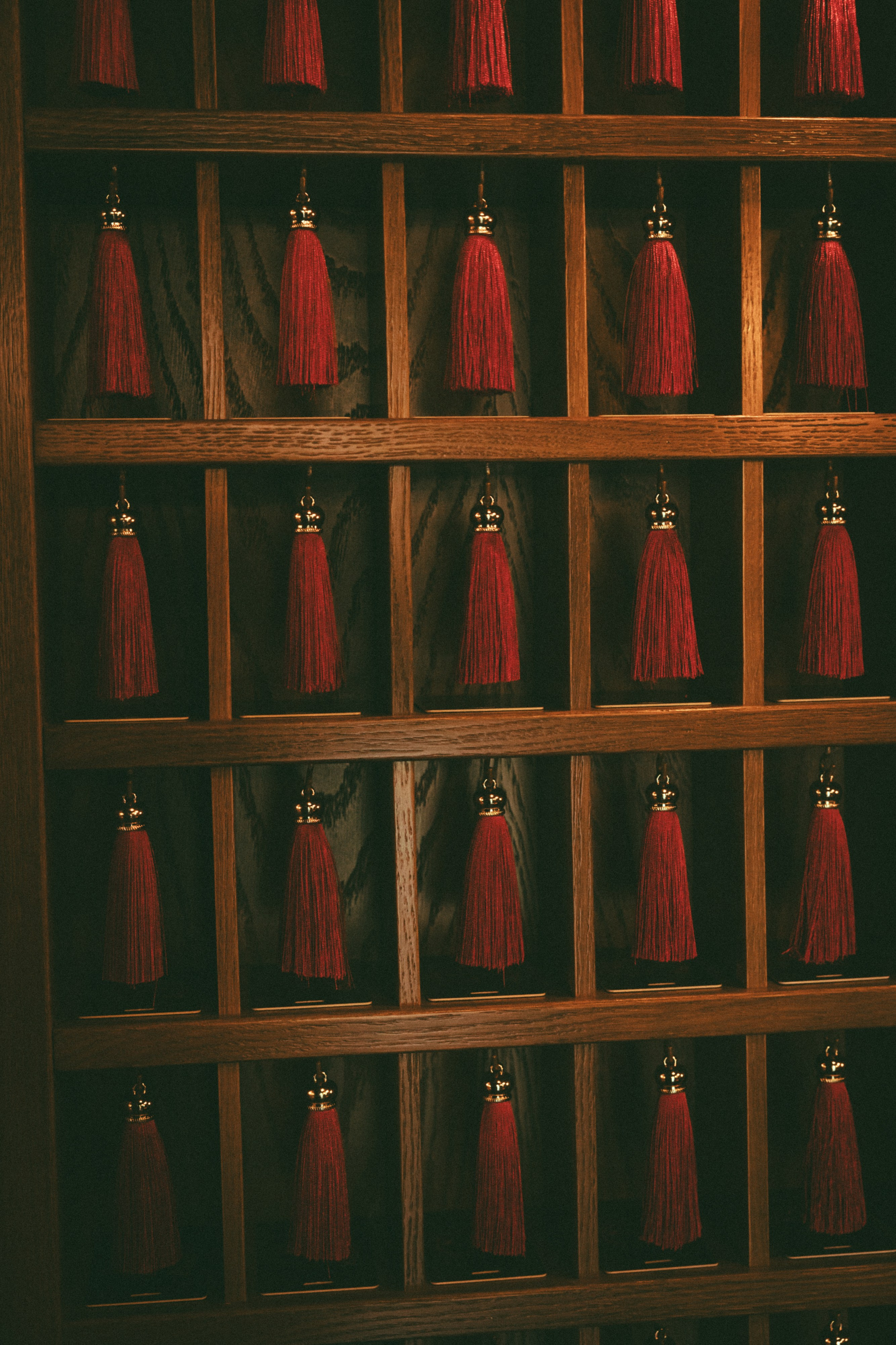 BAYOU VILLAS. ФОТОГРАФ ВАШИХ ЛУЧШИХ СОБЫТИЙ