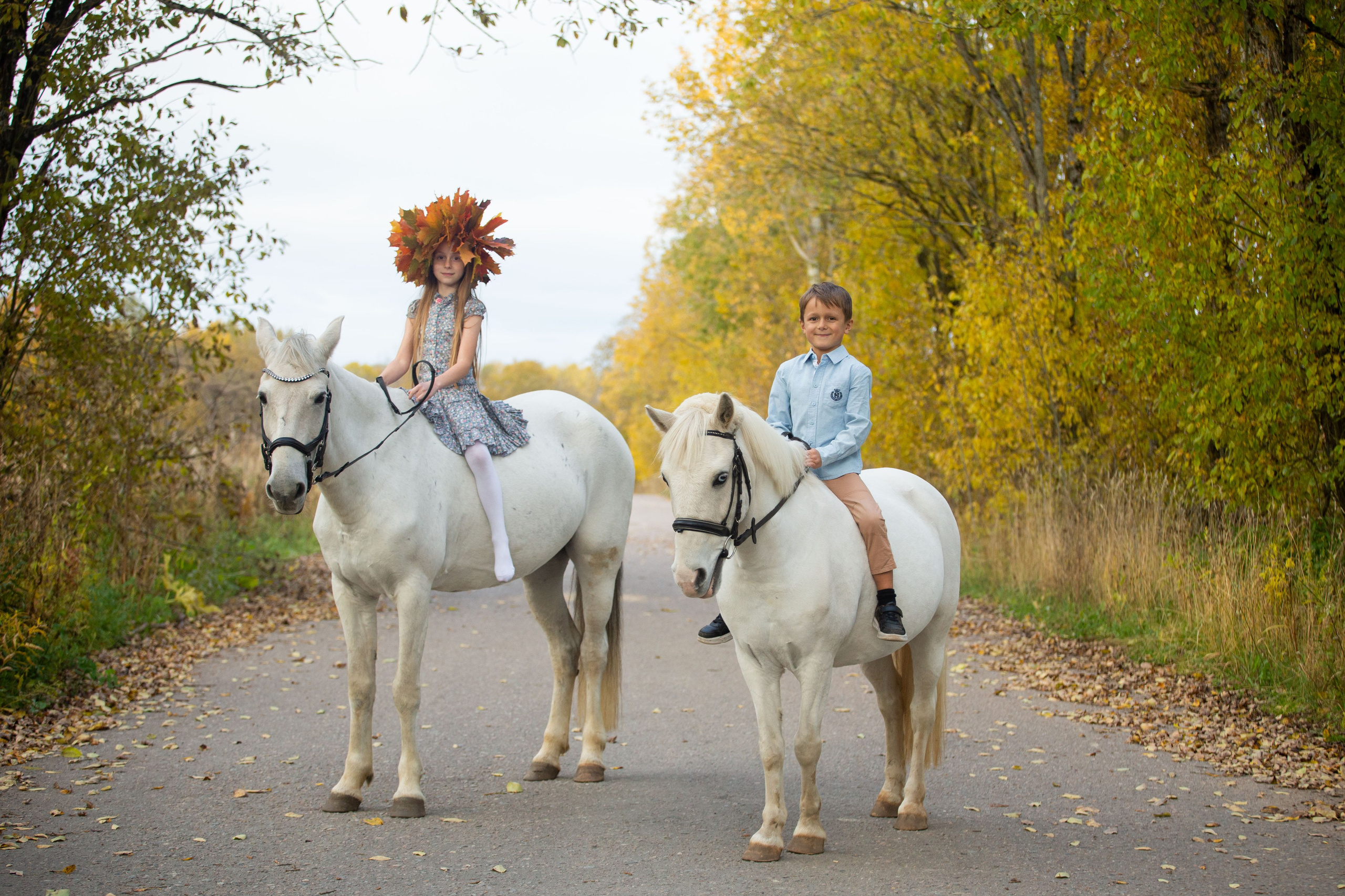 Конные фотосессии (съёмки с лошадьми). Главная