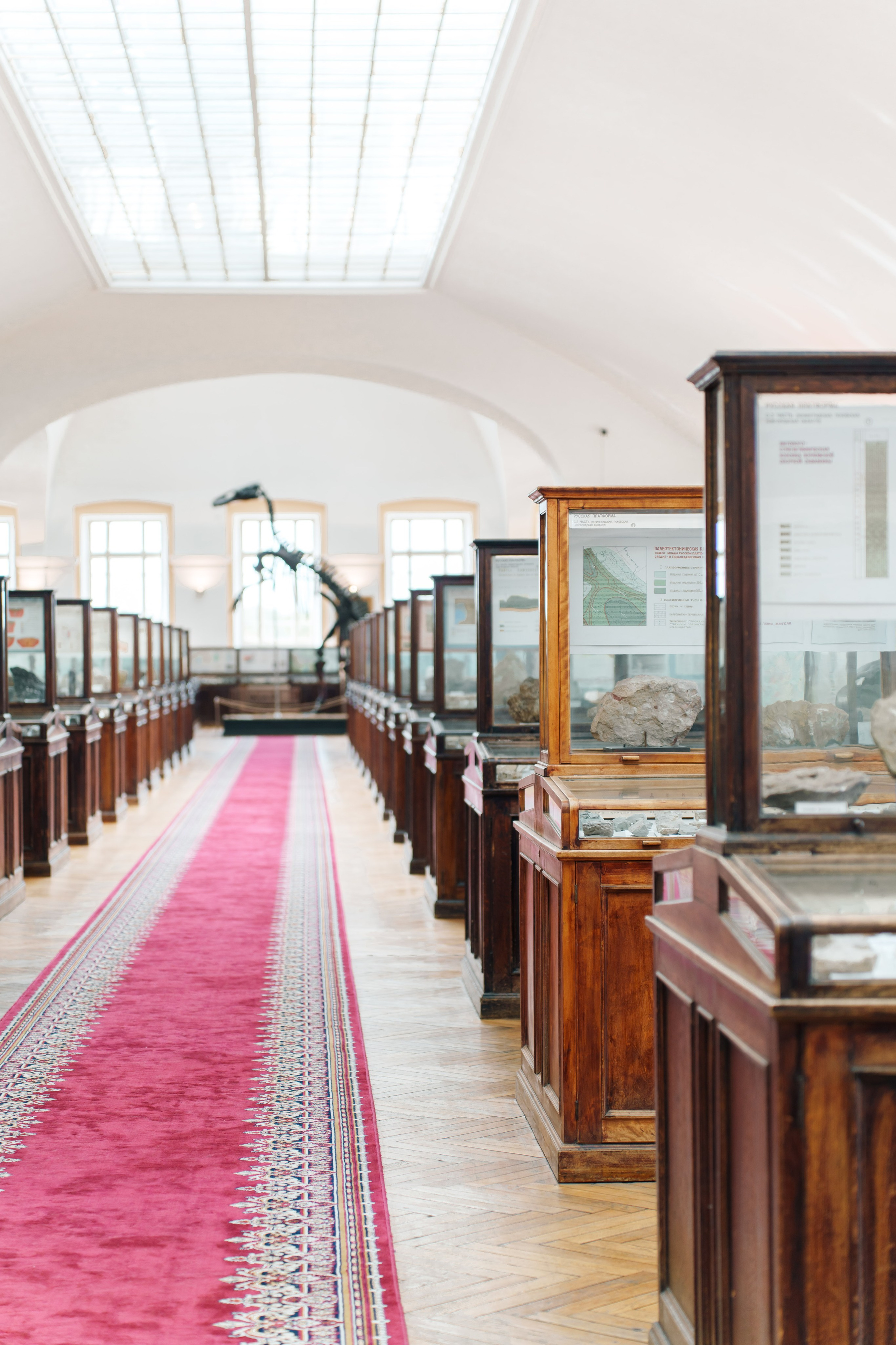 Первый чемпионат мира по геологии 2025. Фотограф в Санкт-Петербурге Ибрагимова Алина