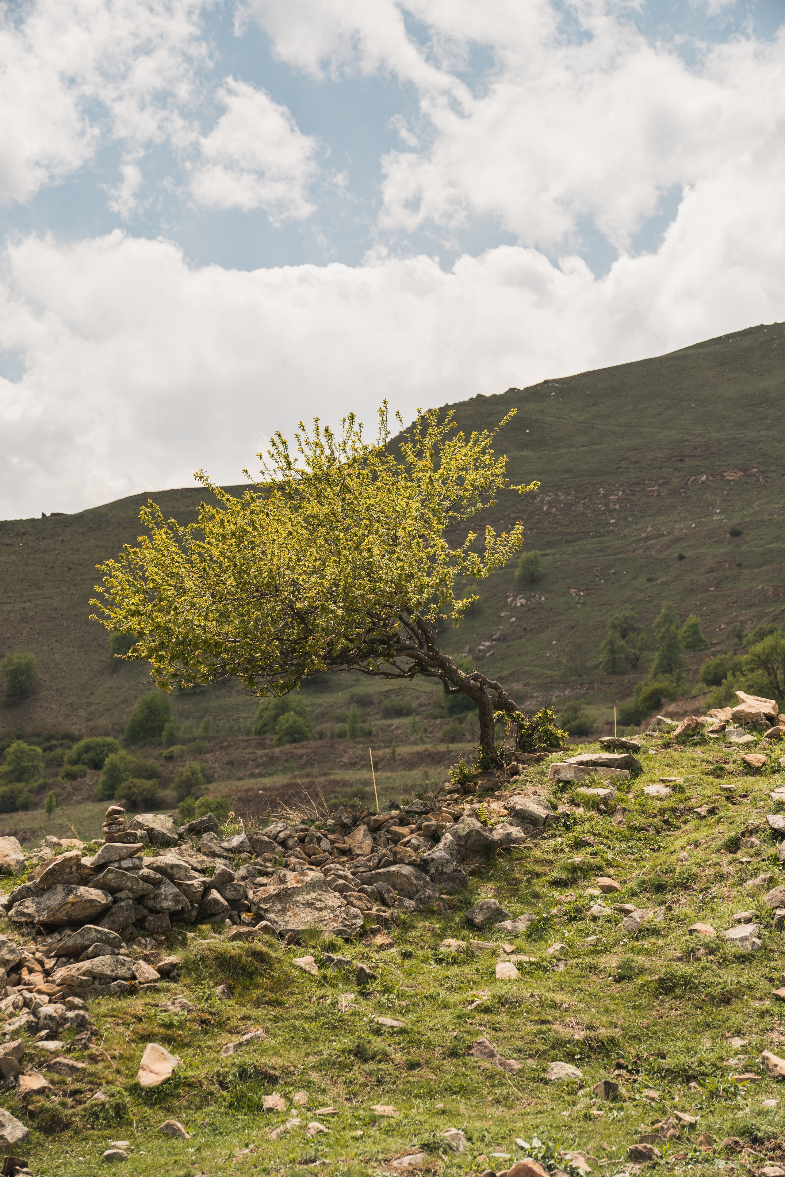 Дагестан. Gusarov Travel Photography