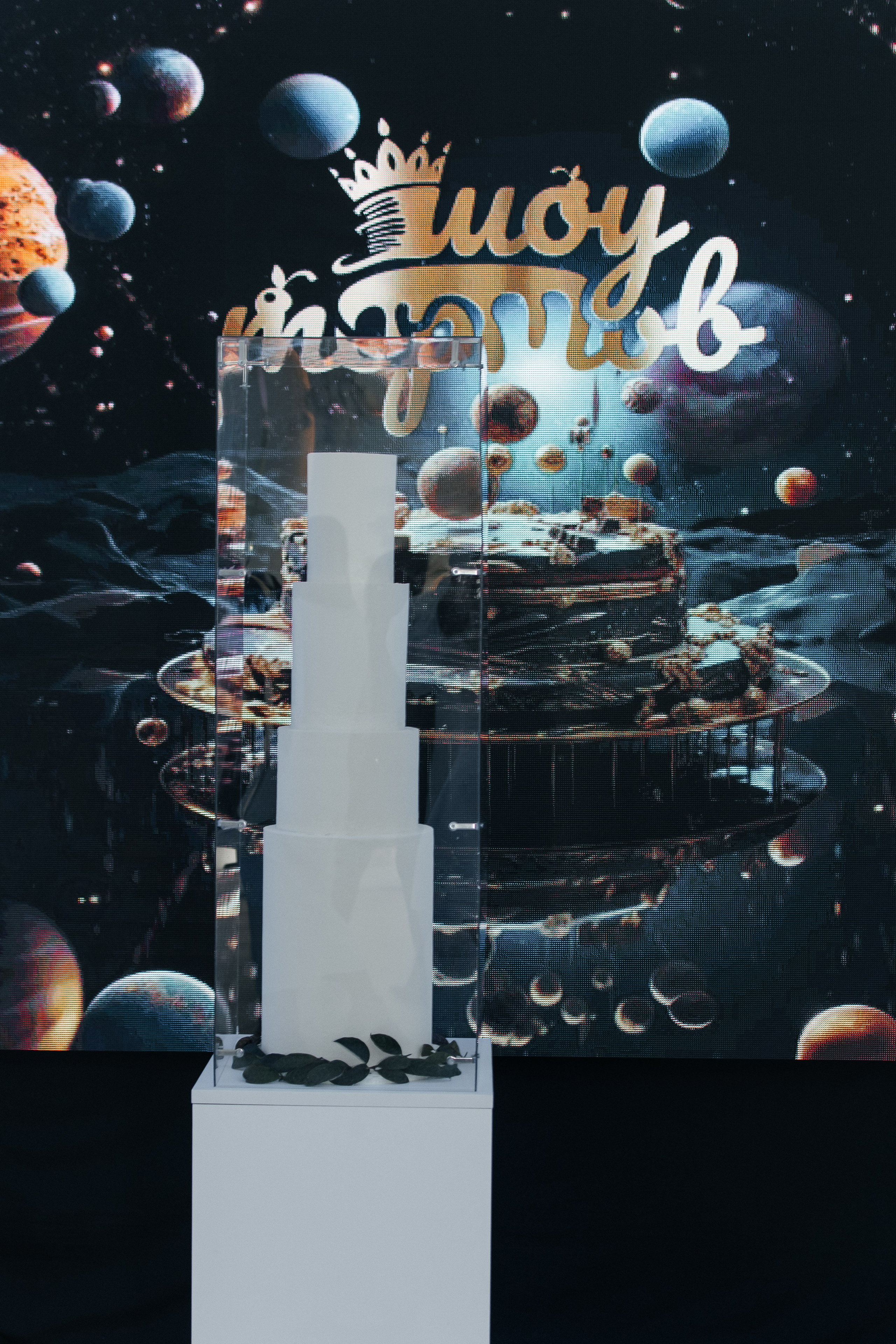 Шоу тортов. Ярмольчик Марина, Fashion фотограф в г Витебск и за его пределами