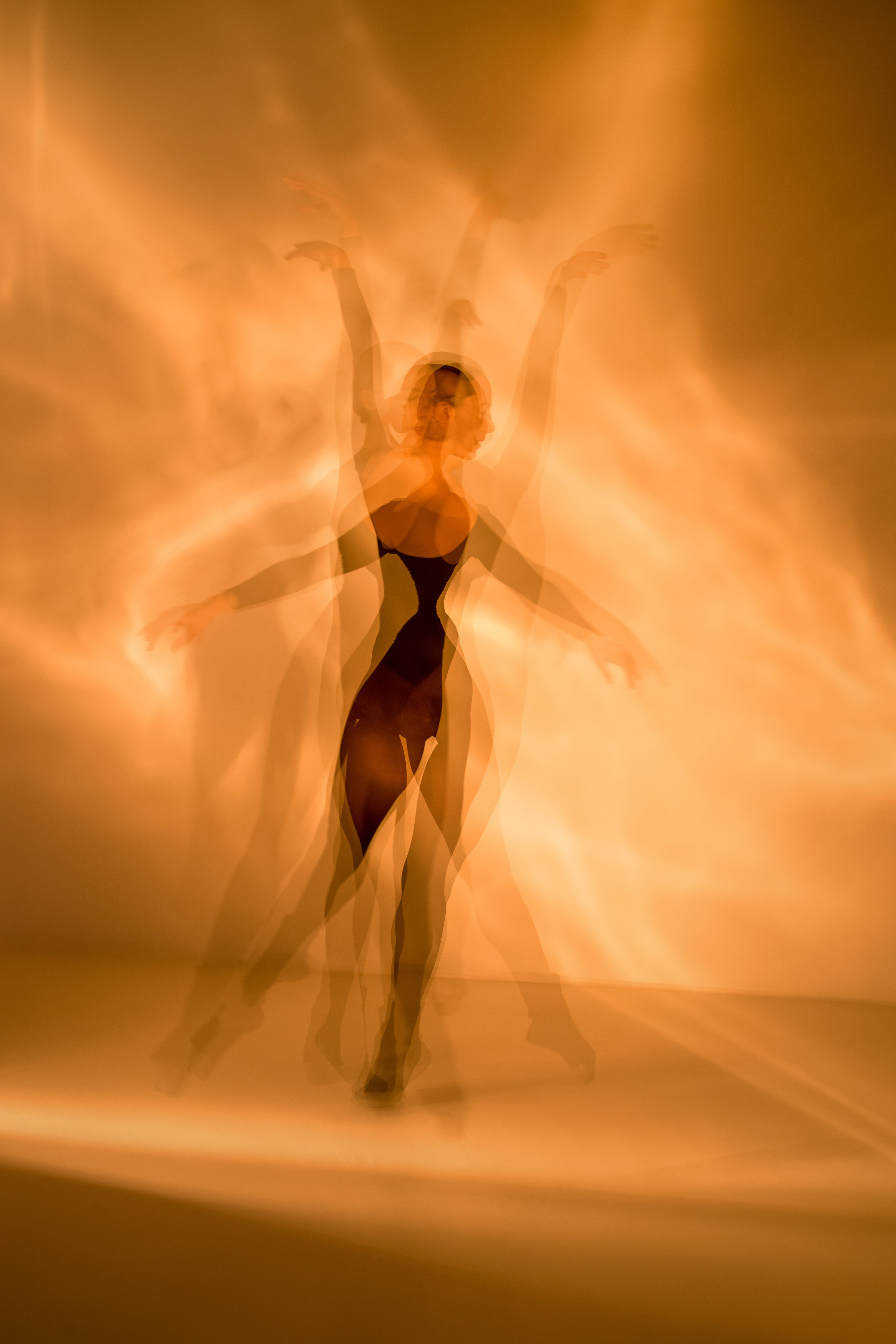 Лилия. Художественная фотография