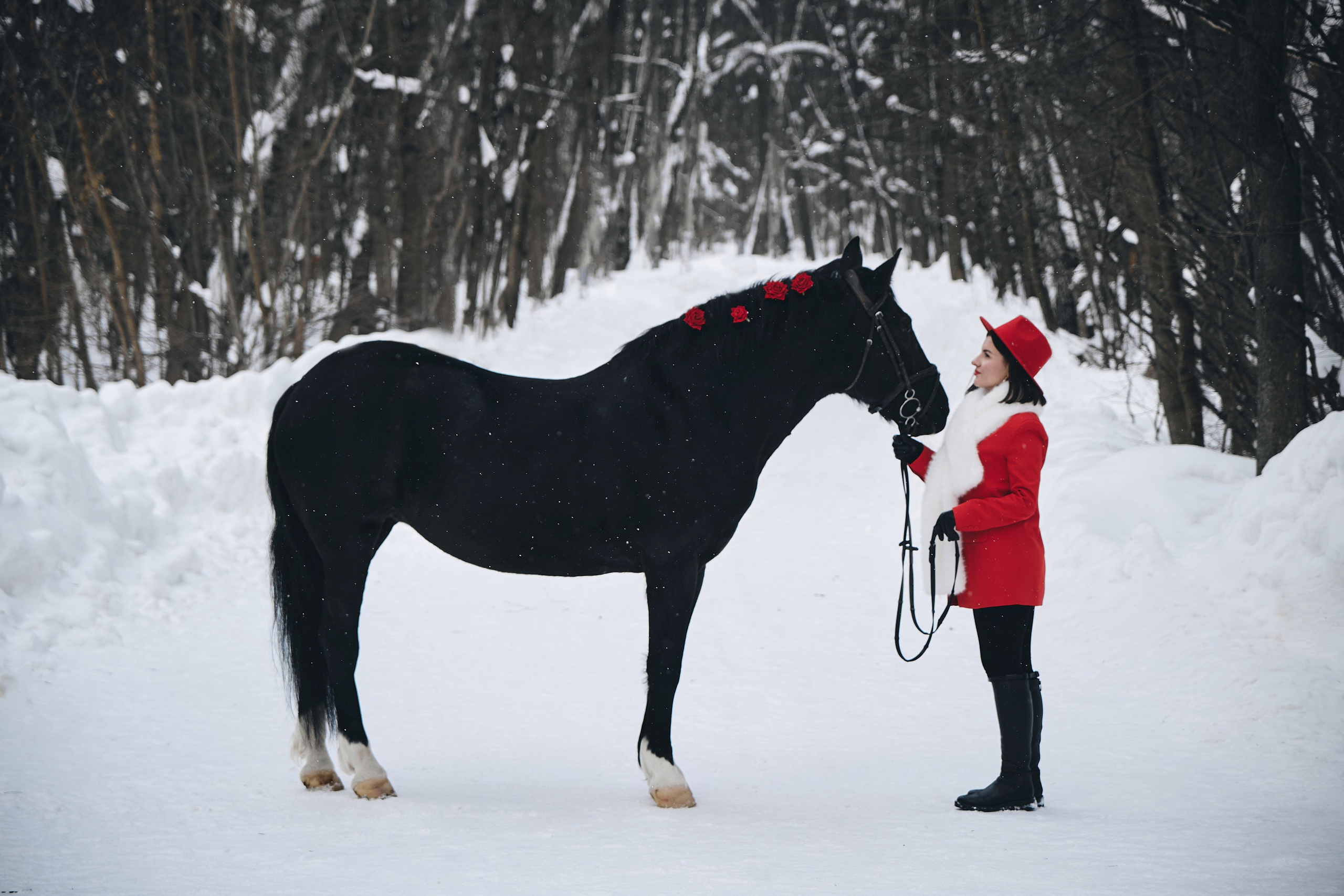 Фотосессии с животными. Портретный фотограф в Москве Виктория Колышева