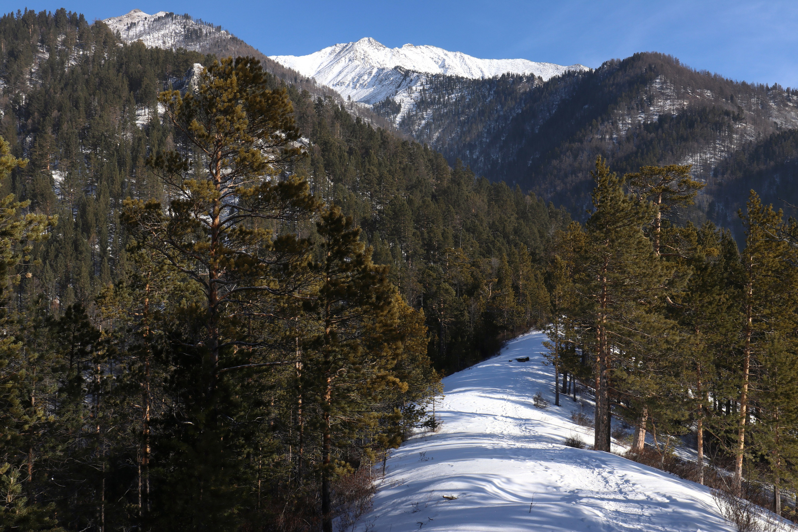 Аршан. Февраль 2025. Путешественник-фотограф из Санкт-Петербурга Татьяна Свистулина