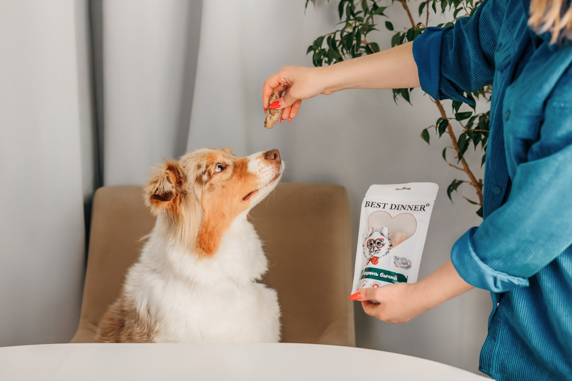 Корма Best Dinner. Фотограф-анималист Елена Радченко, Москва