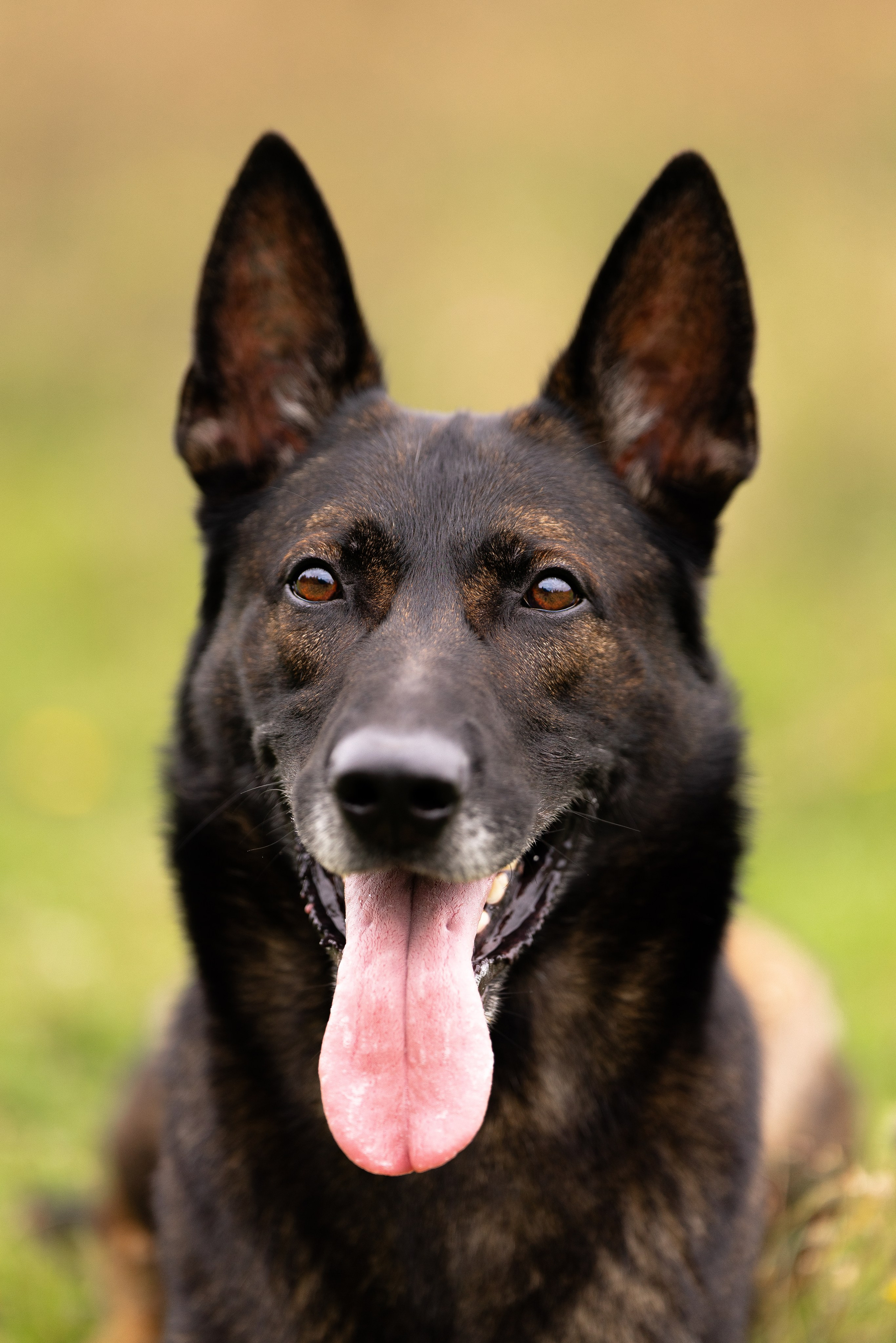 Макс. Фотограф и видеограф анималист Аганина Дарья