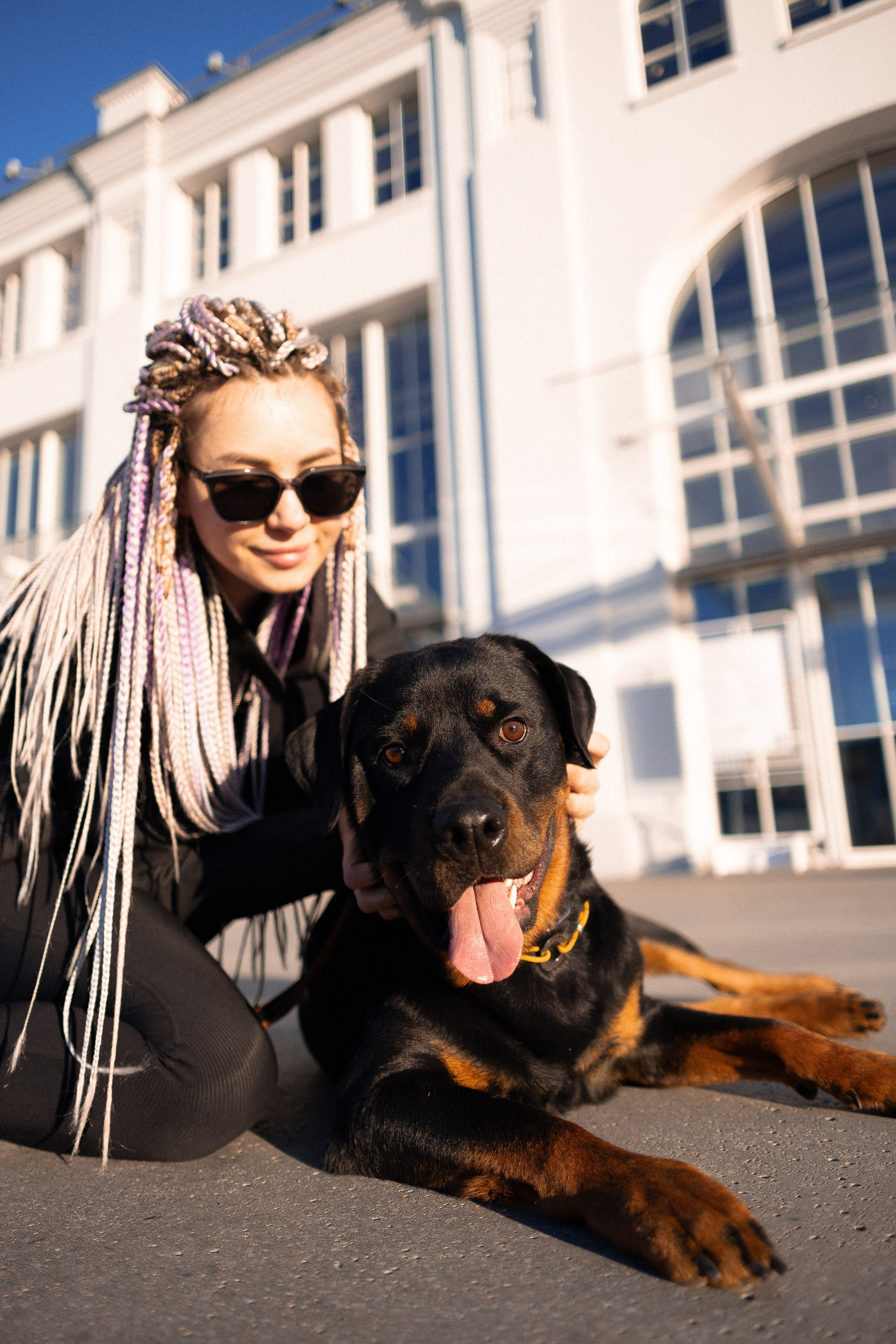 Катя, Леша, Трой и Лея. Фотограф и видеограф анималист Аганина Дарья