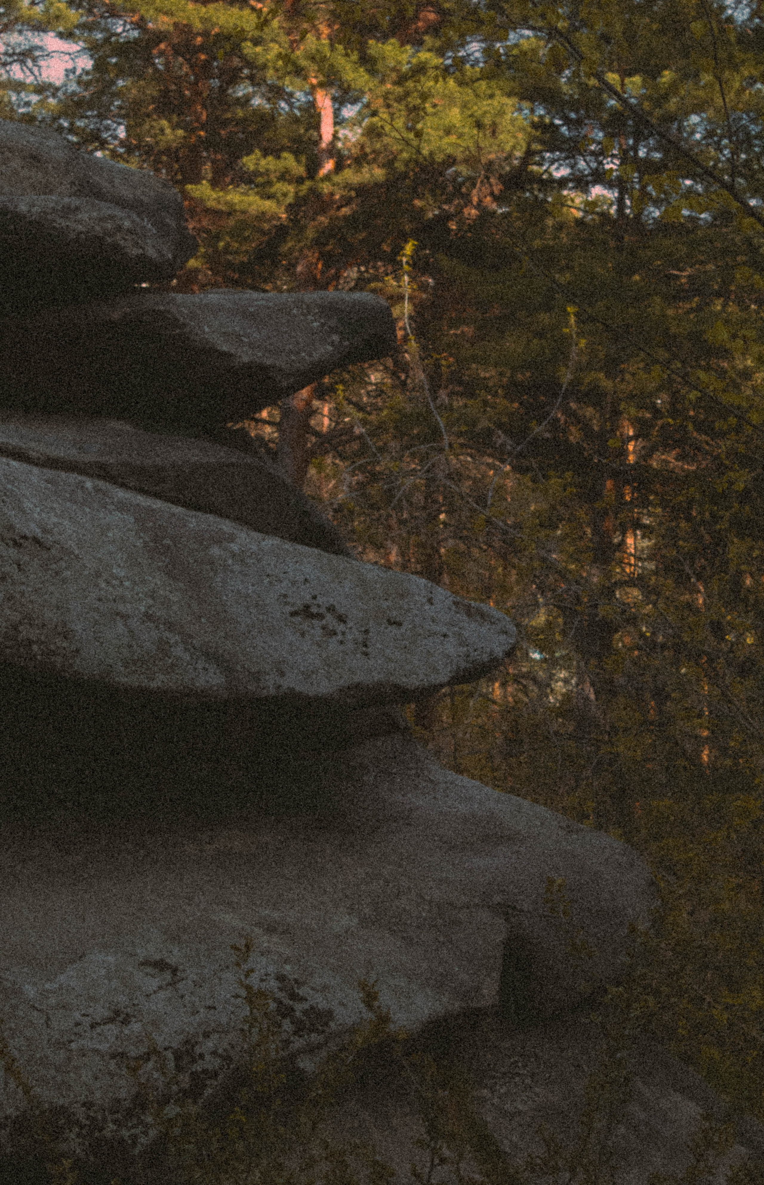 «Без названия»