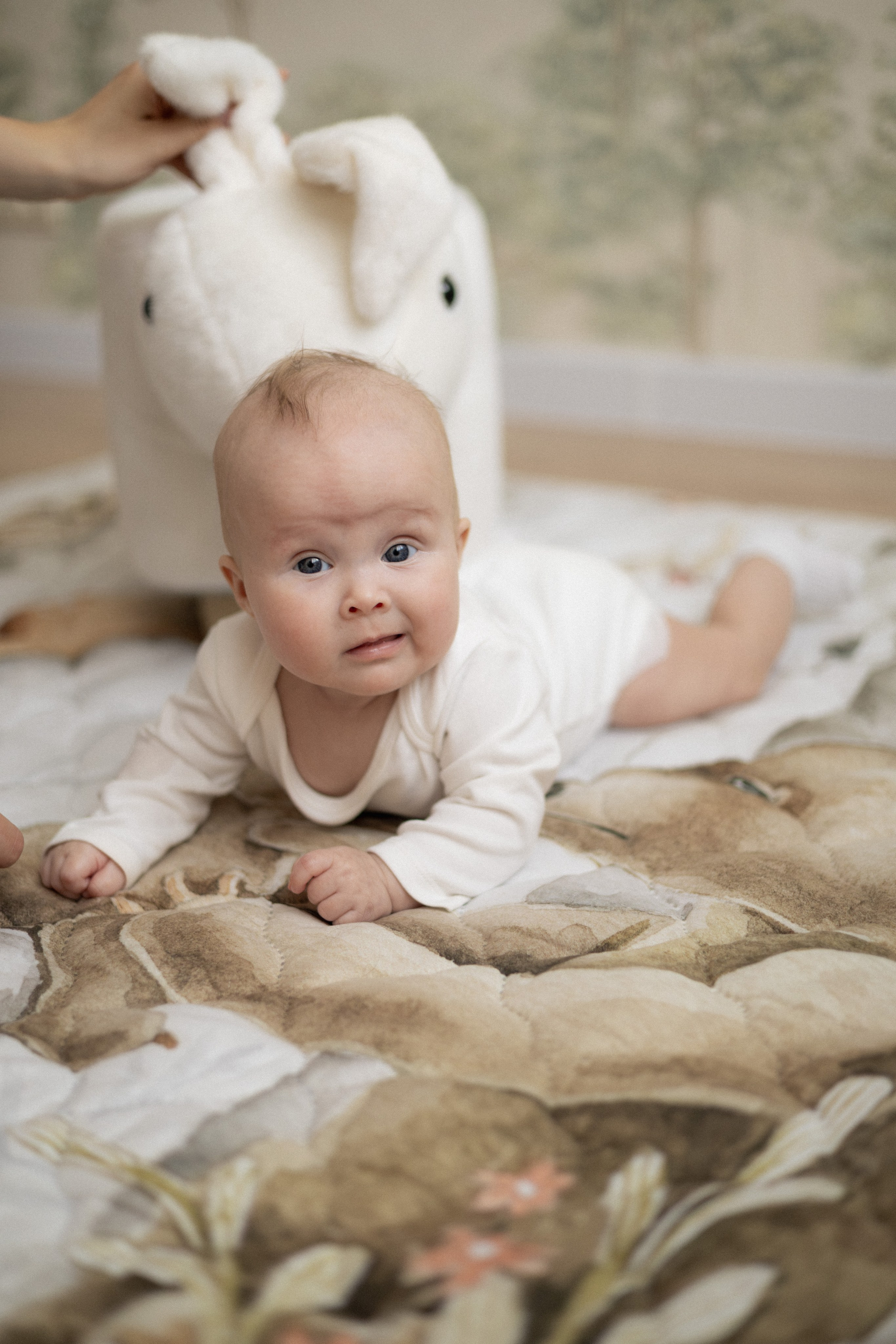 Аида, Леонид и малышка Николь ♡. Семейный фотограф Дарья Белецкая
