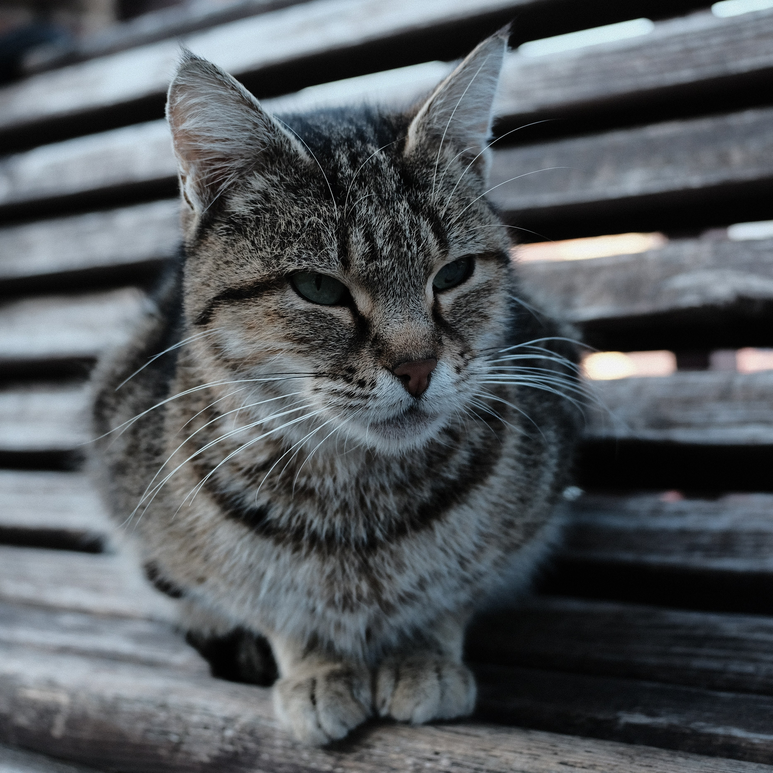 Georgia. Creative travel photographer — Berg Daria