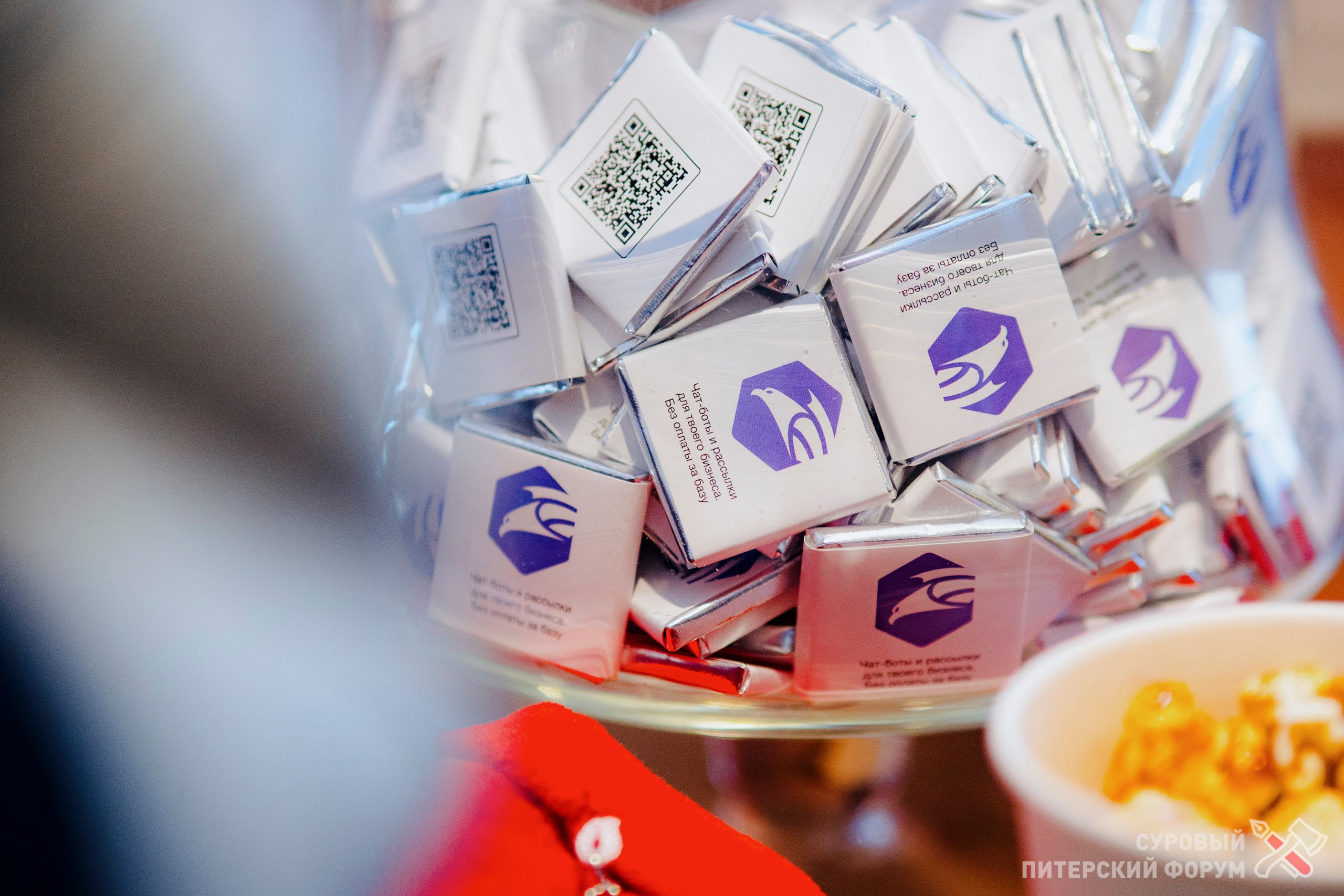 Суровый Питерский форум 2025. Фотограф Перминов Никита СПБ