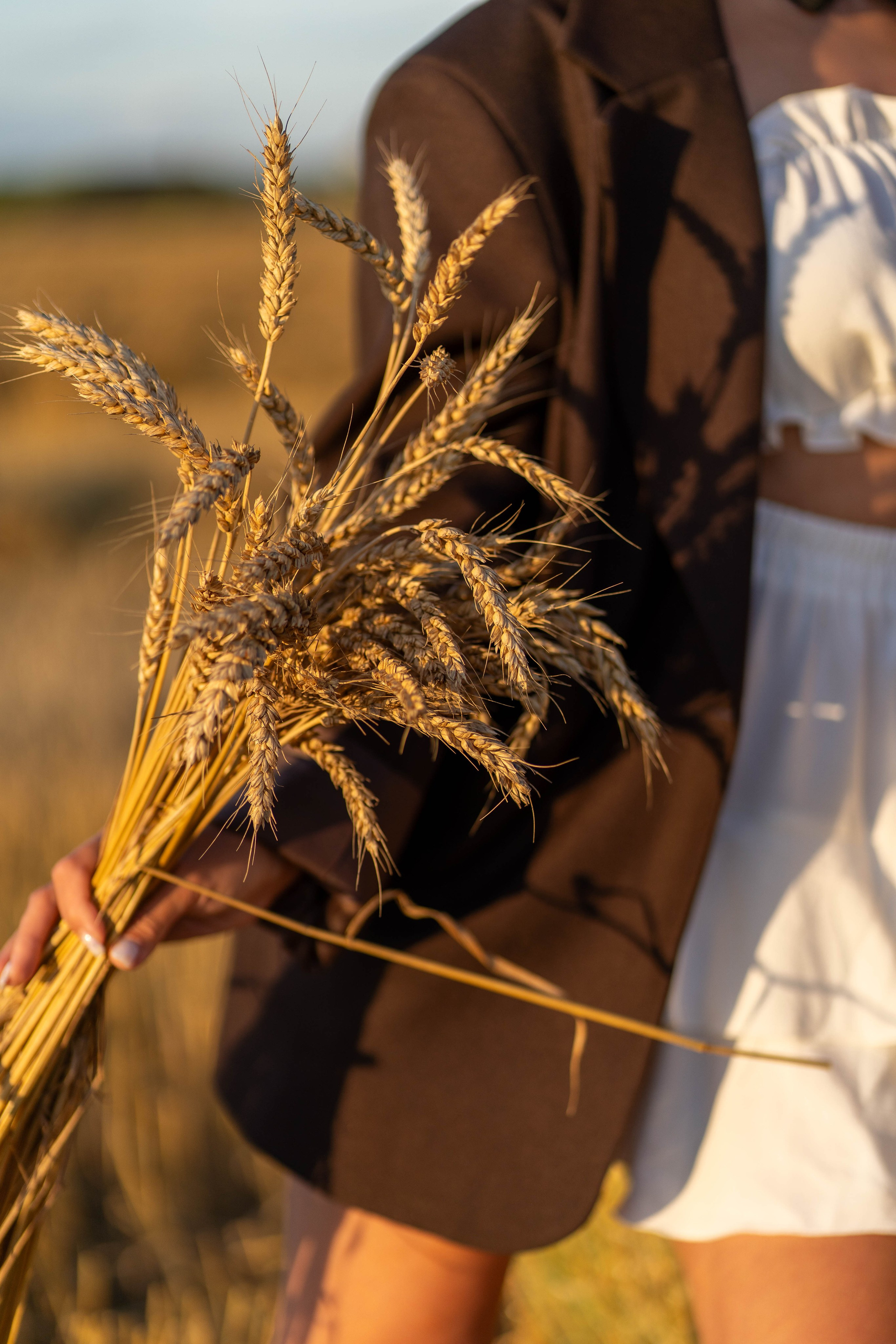 Пшеничные поля. Главная