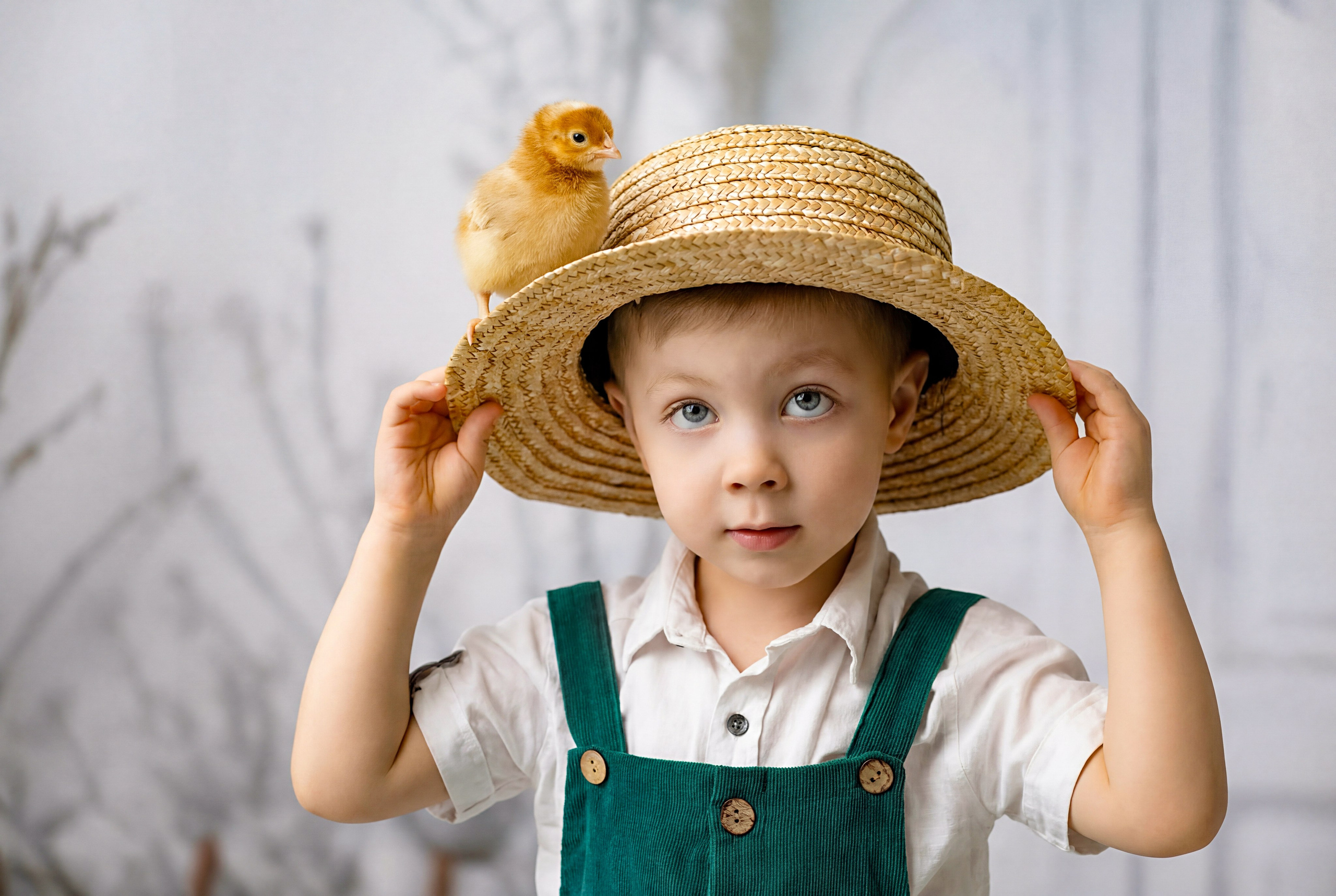 Фотосессия с цыплятами. Фотограф Белгород