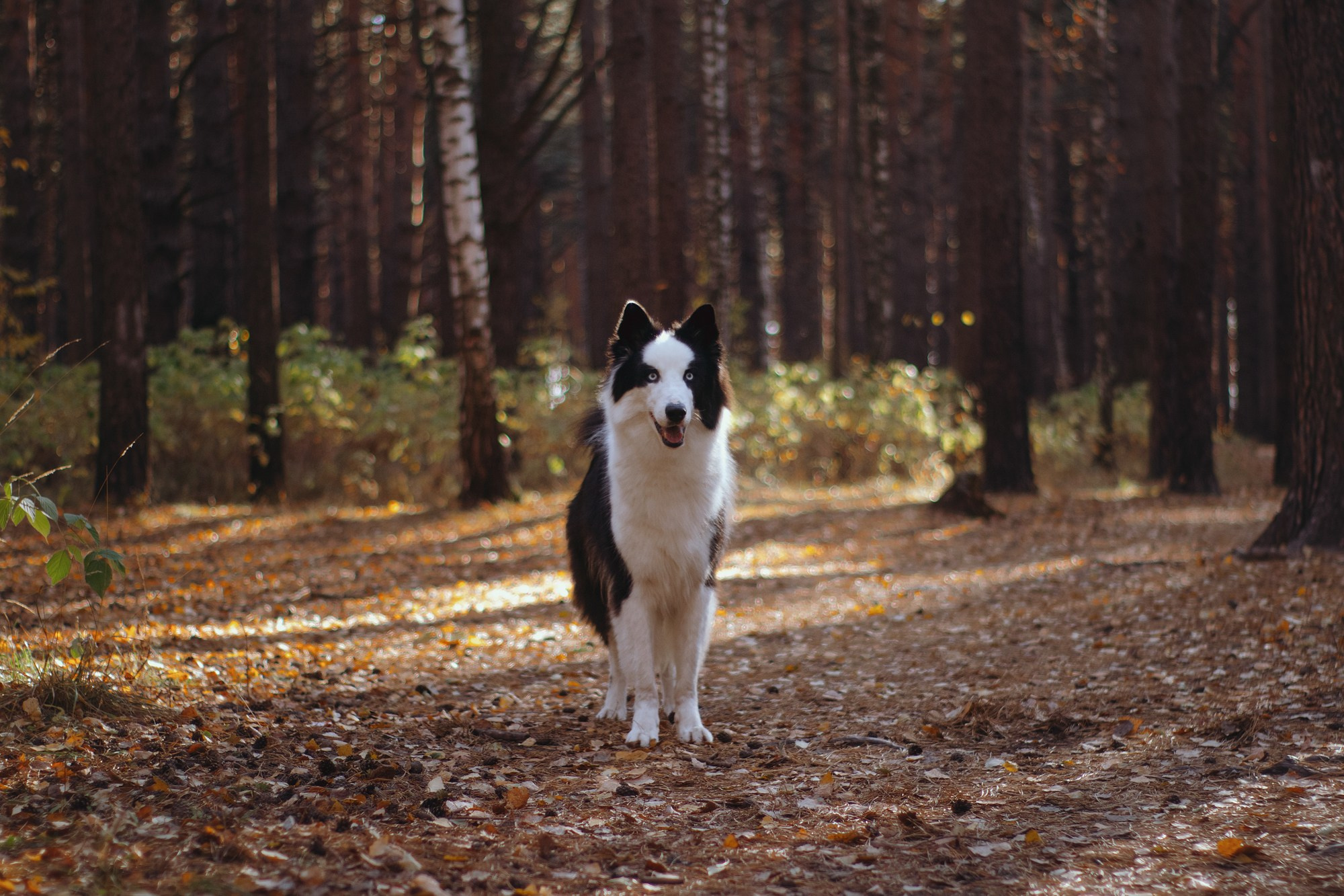Ликёр. Фотограф в Тюмени Лизавета Сапицкая