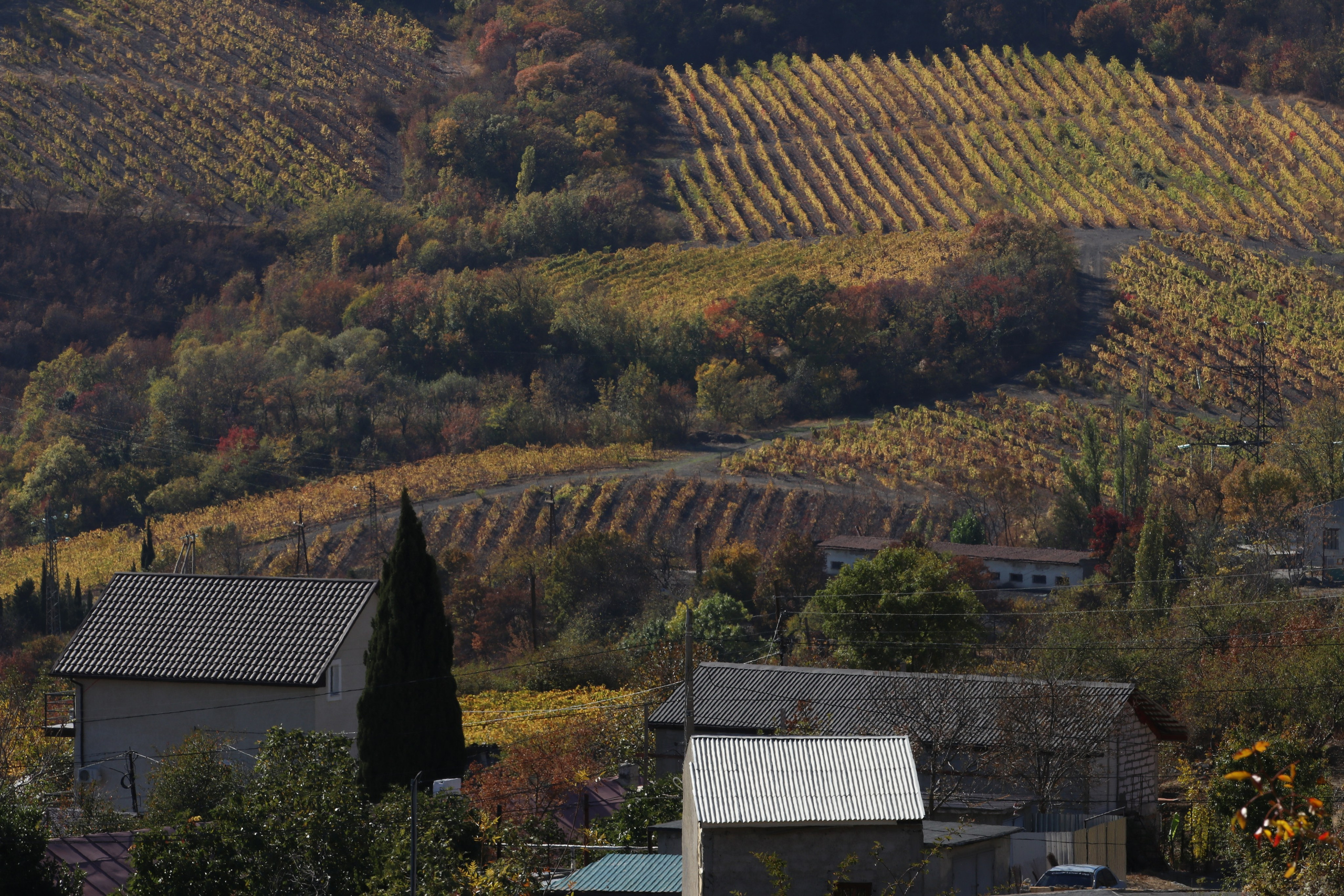 Крым. ЮБК (Гурзуф, Судак и их окрестности). Ноябрь 2023. Путешественник-фотограф из Санкт-Петербурга Татьяна Свистулина