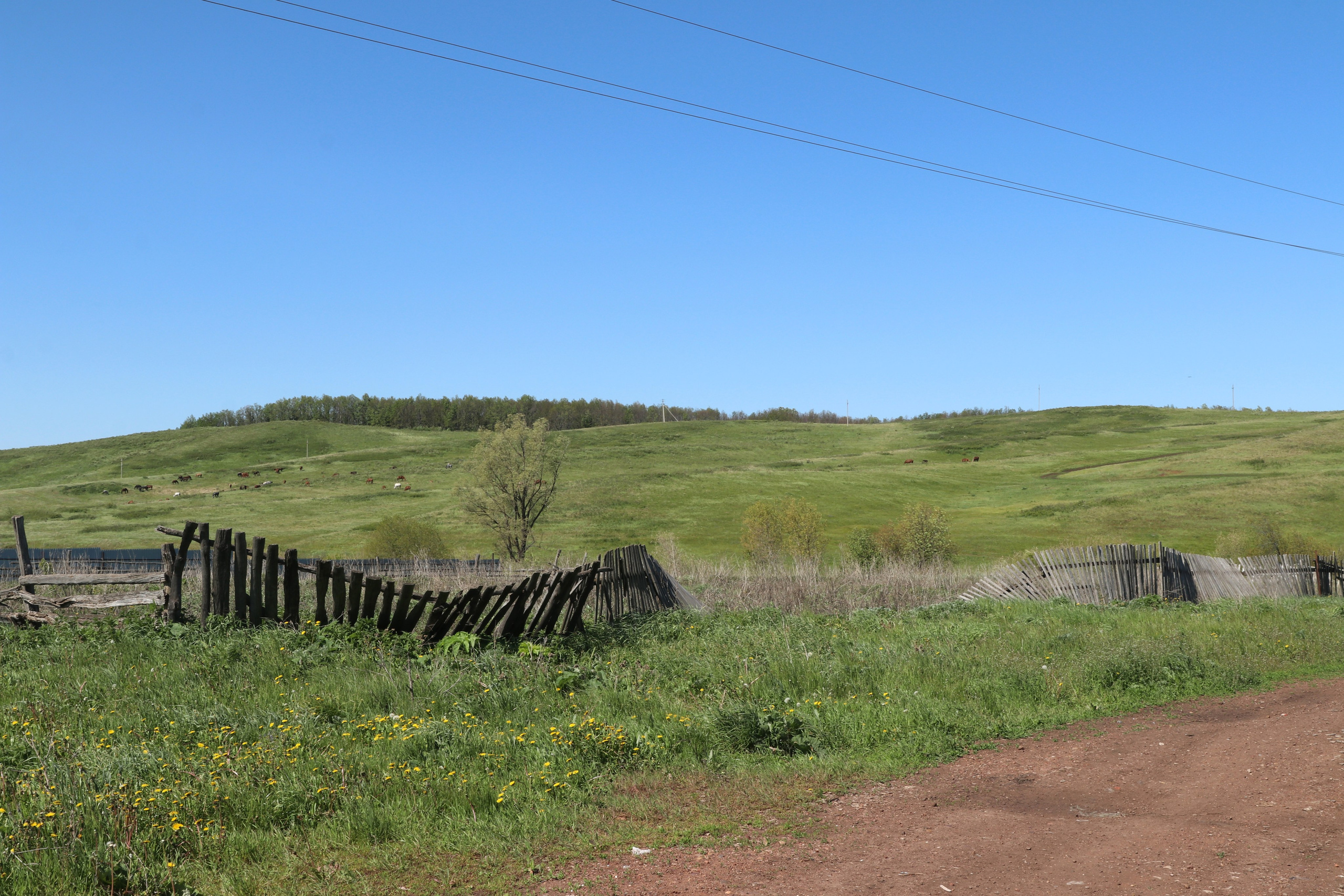 Велопоход Уфа — Мелеуз. Май 2024. Путешественник-фотограф из Санкт-Петербурга Татьяна Свистулина