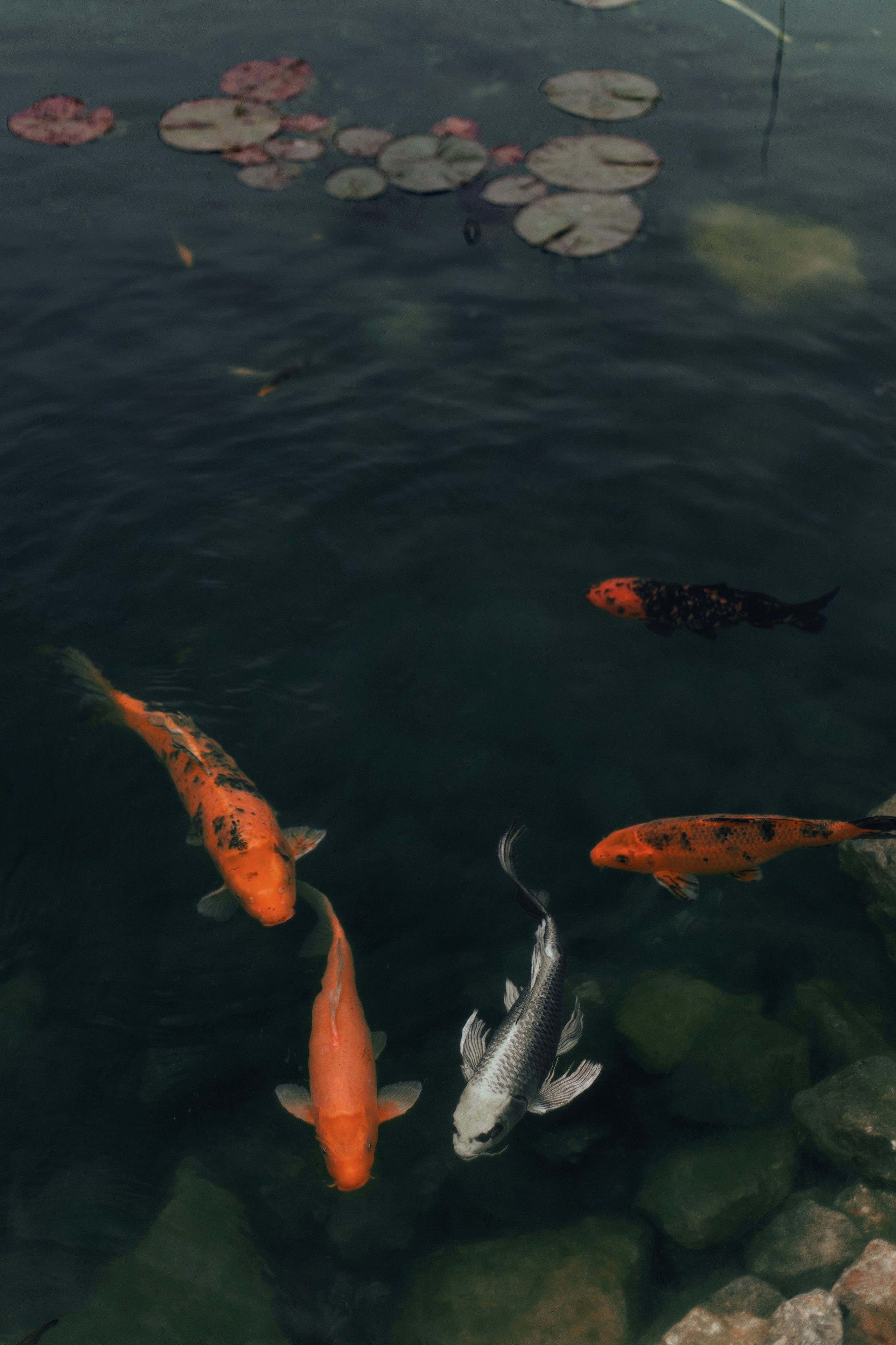 Александр и Ксения