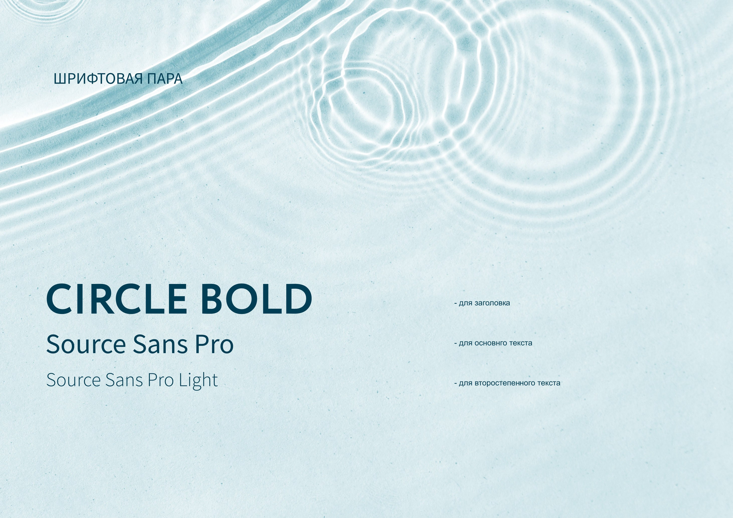 О дизайнере