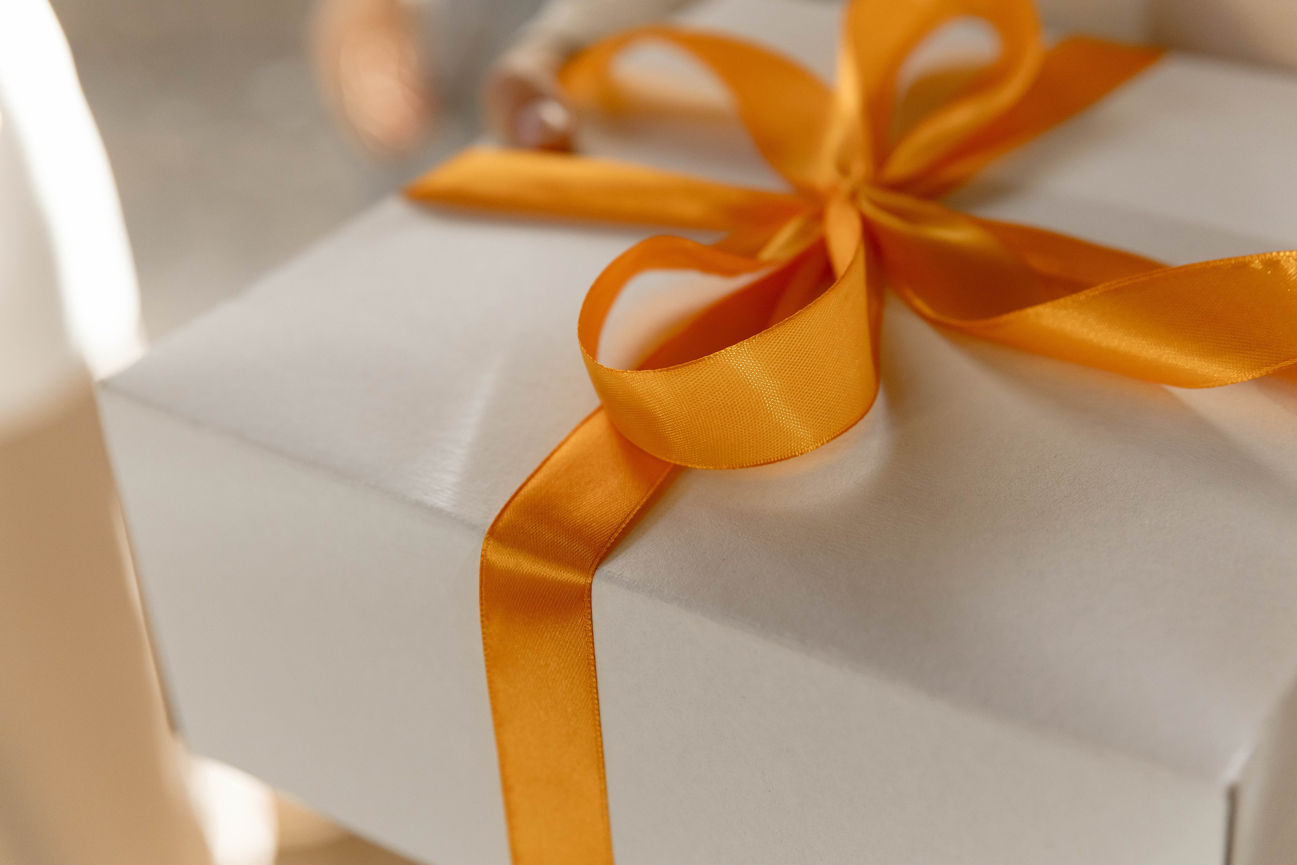 NIKOLAY|ALYONA. Главная