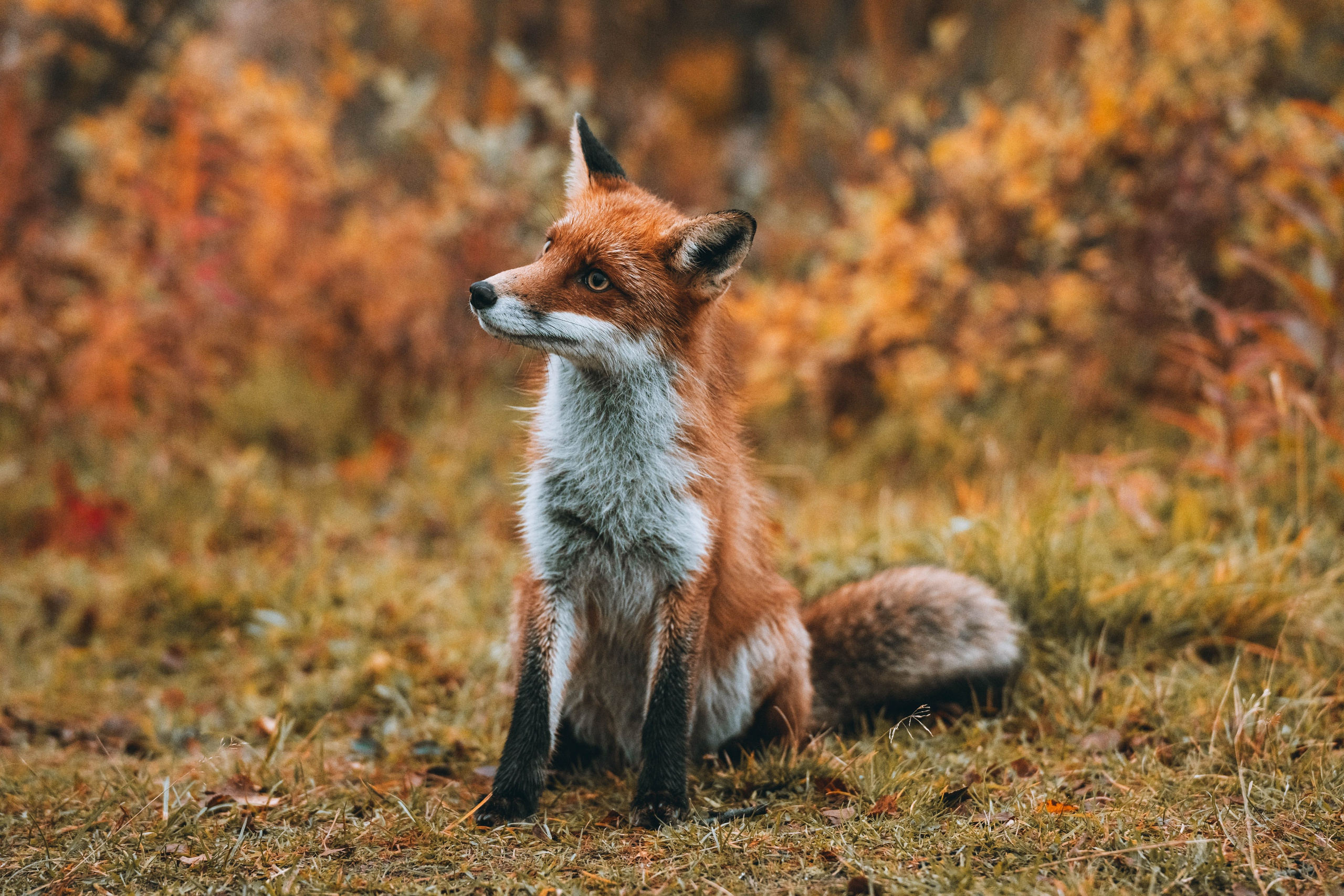 СЕВЕР. Event фотограф Степанова Александра