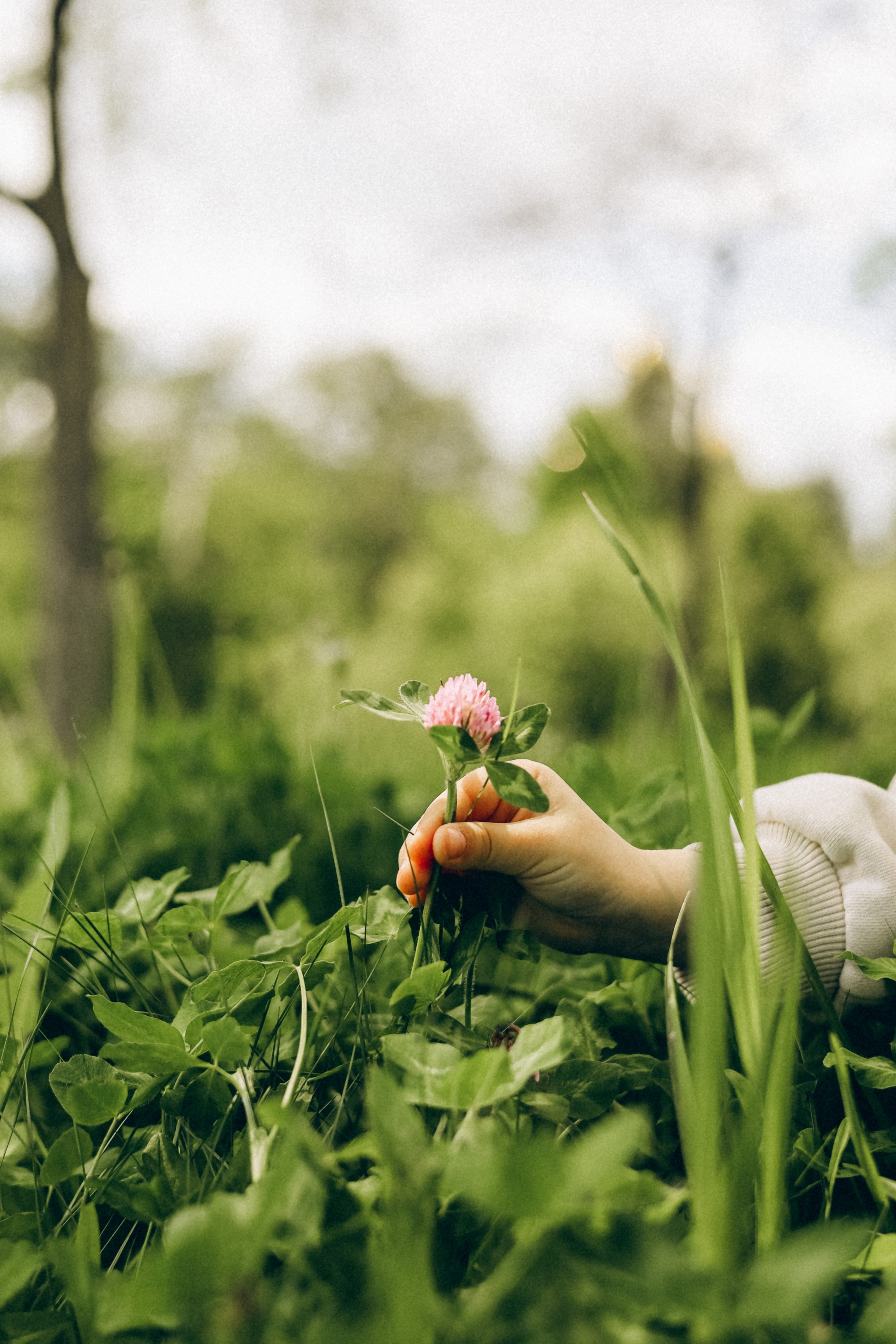 Детская. Фотограф Оксана Пономарева