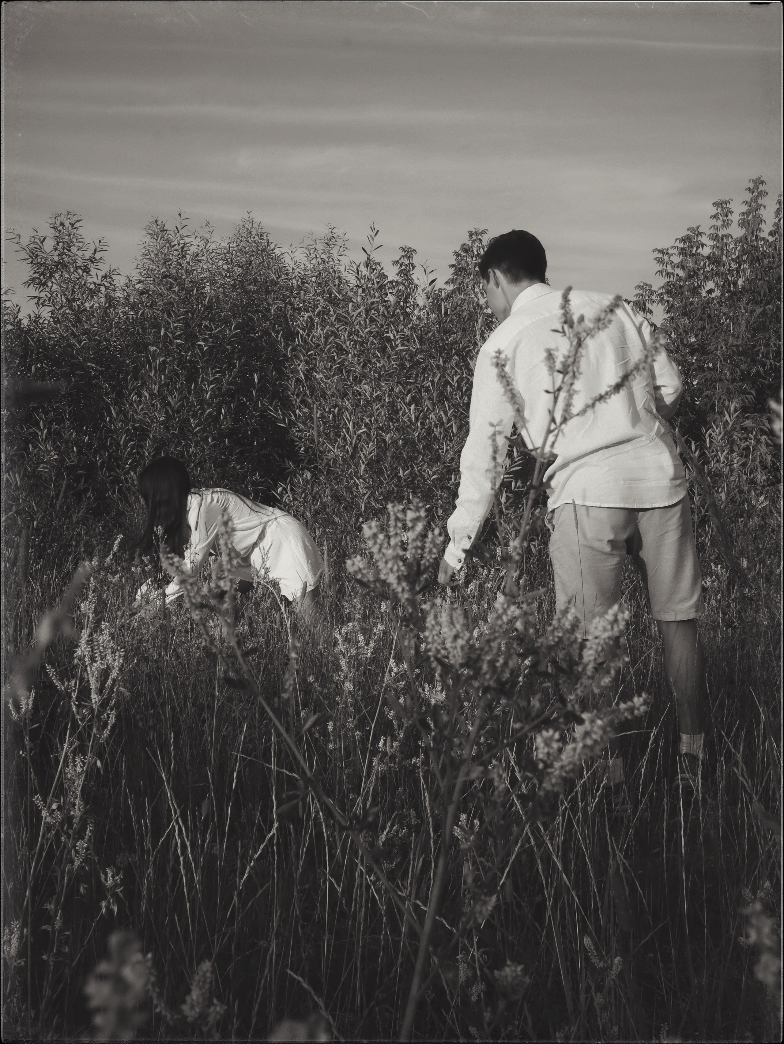 Диана и Никита. Портретный и свадебный фотограф в Москве Александра