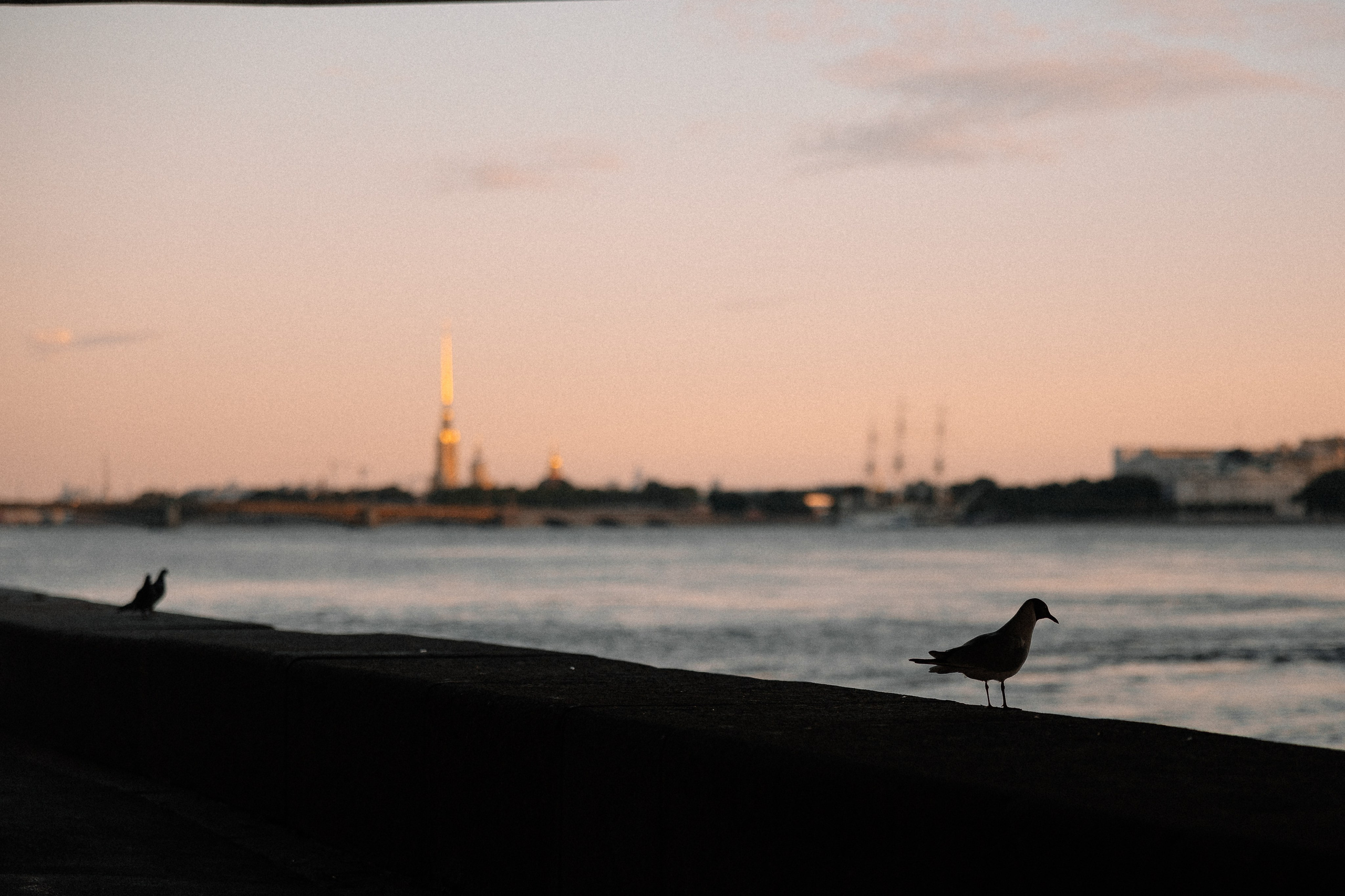 Улыбаясь в Питере. Свадебный и семейный Фотограф Денис Кошель