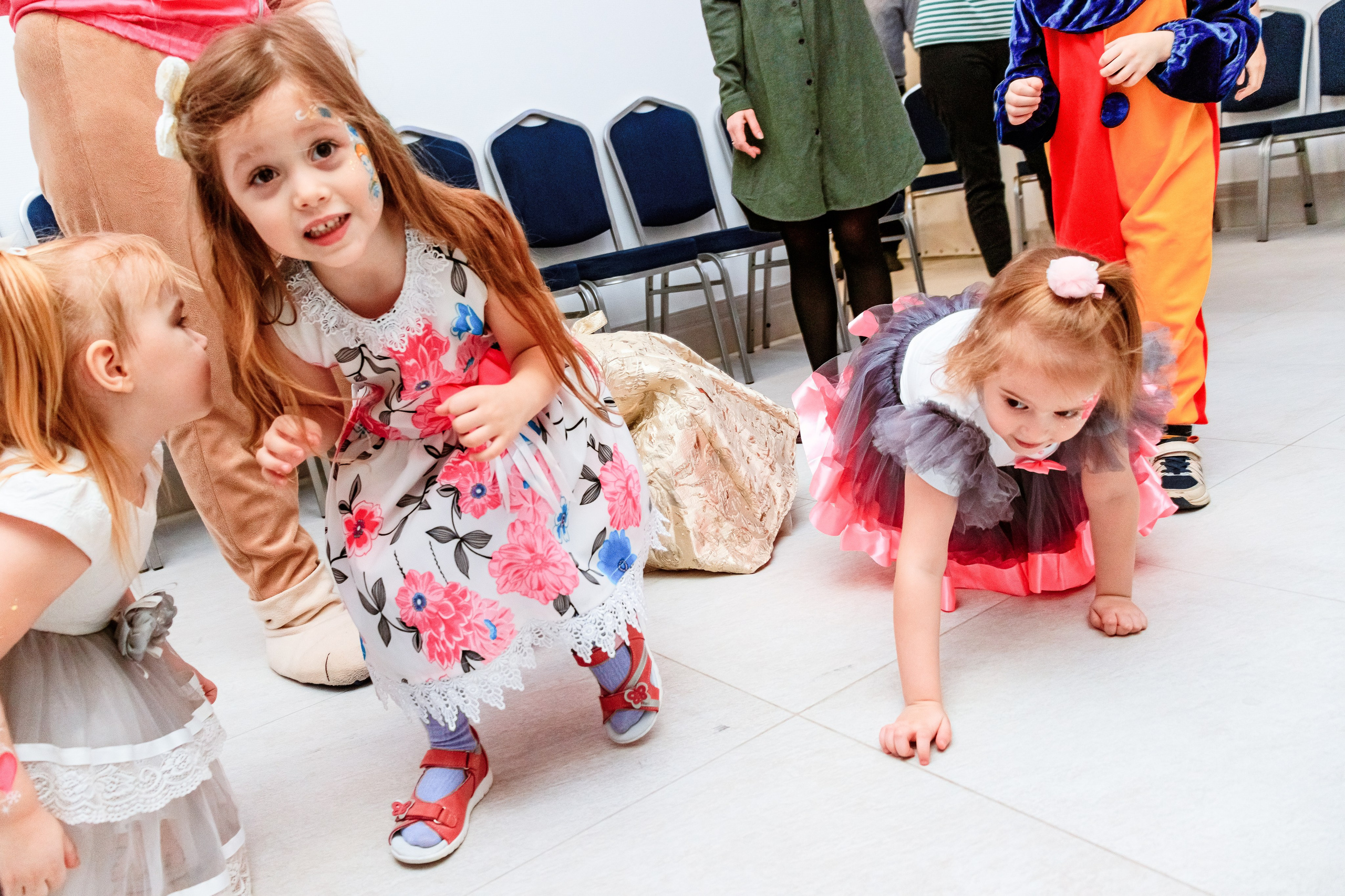 Знайка. Щенячий новый год. Фотограф — Новосибирск
