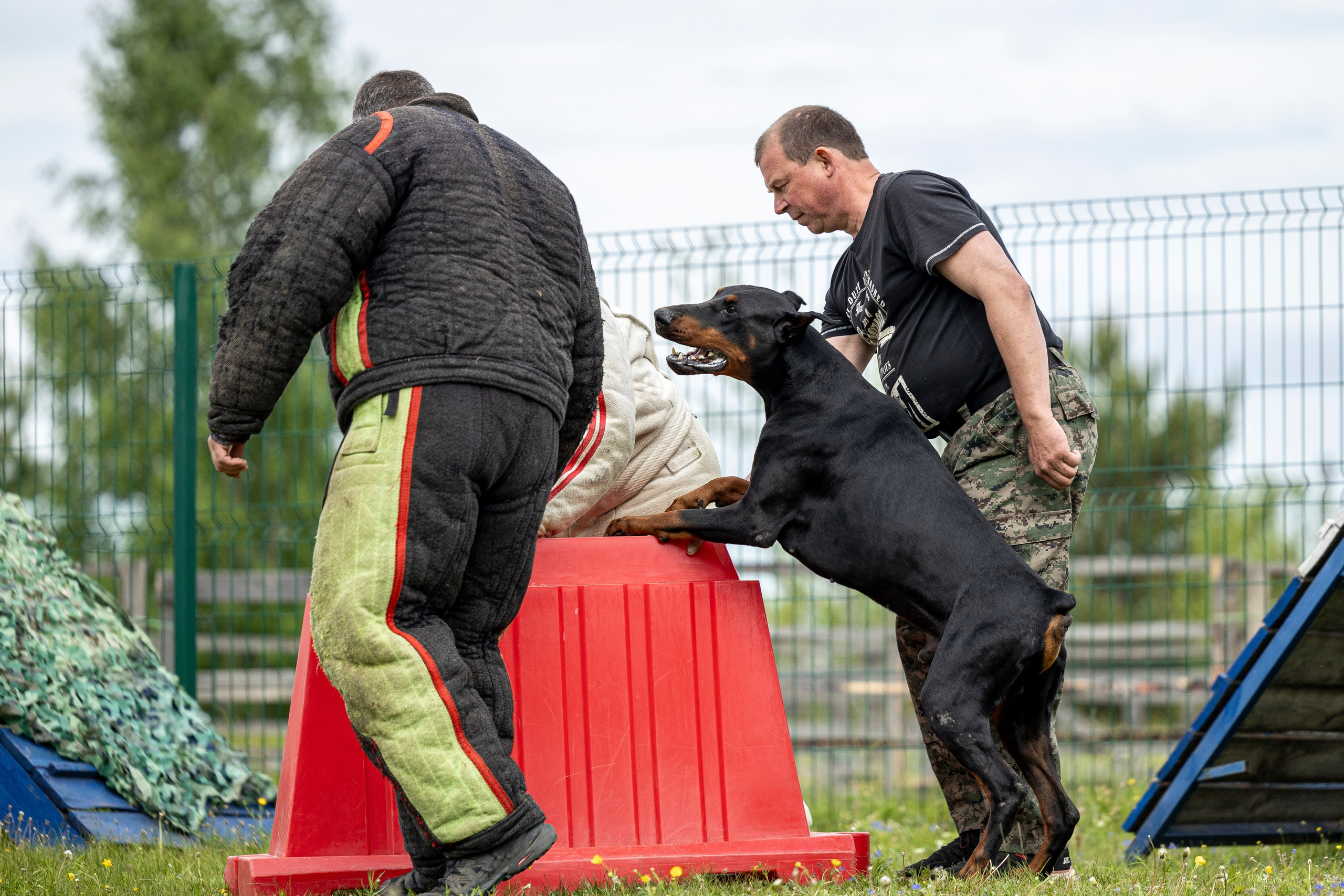 Испытания по мондьорингу в Нижнем Новгороде. Фотограф-анималист Анна Маринич