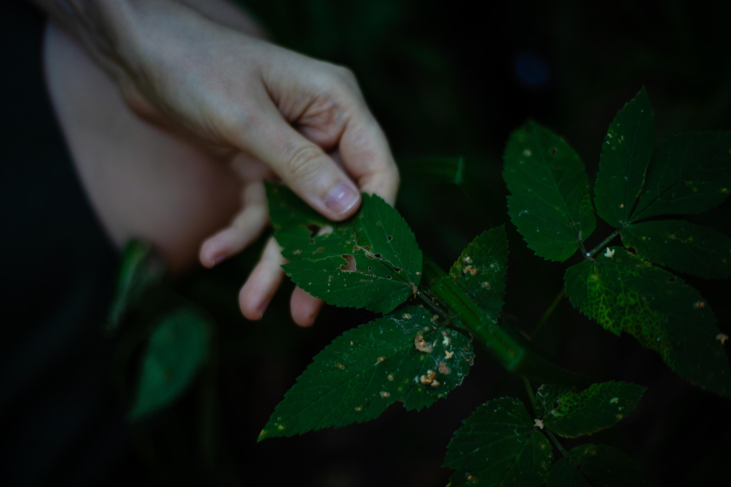 Анна Воронина. Портретный фотограф в Москве и Геленджике Кирилл Вахитов