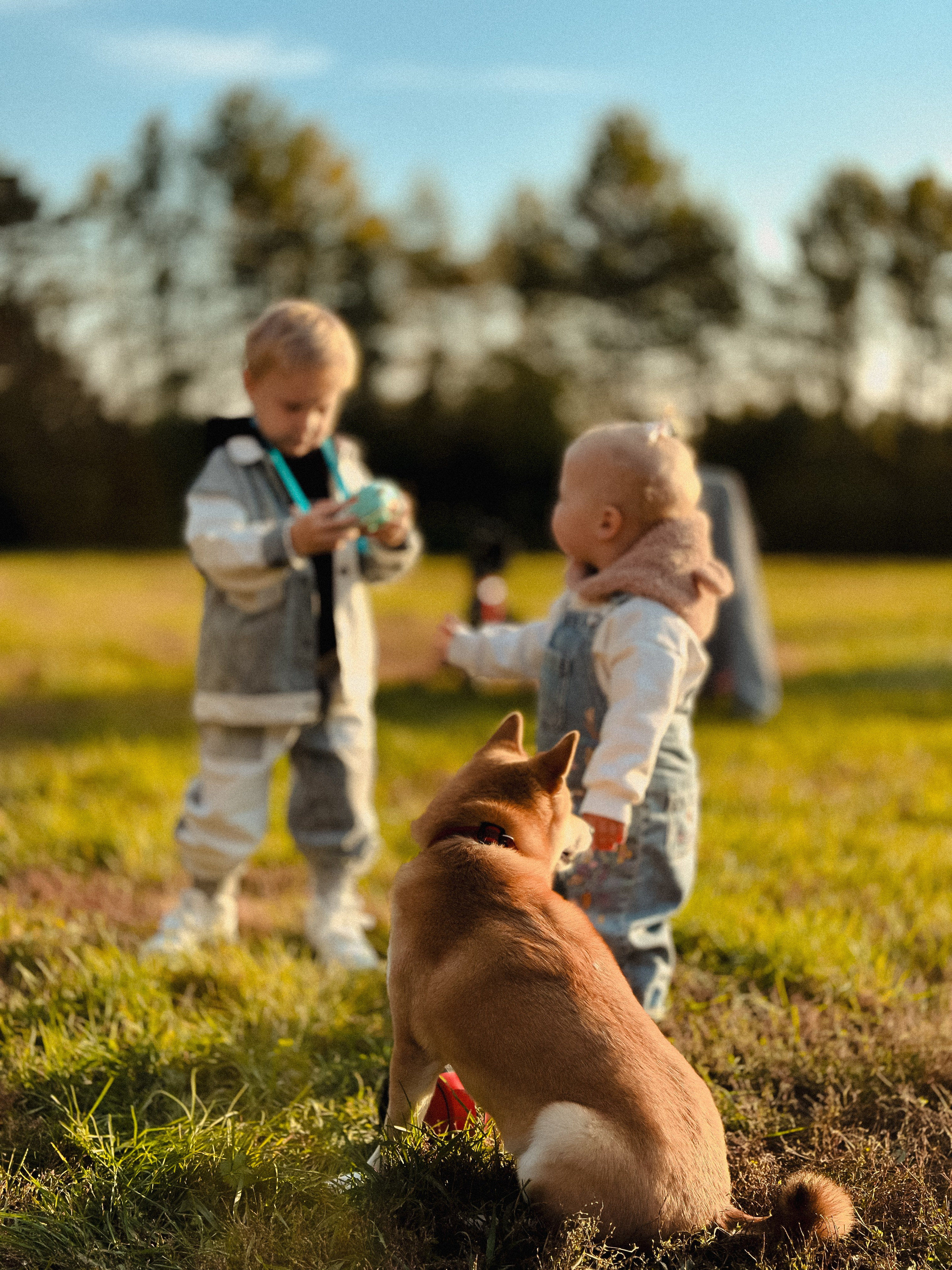 Семейные. Семейный и портретный фотограф в Омске Бондарь Алена