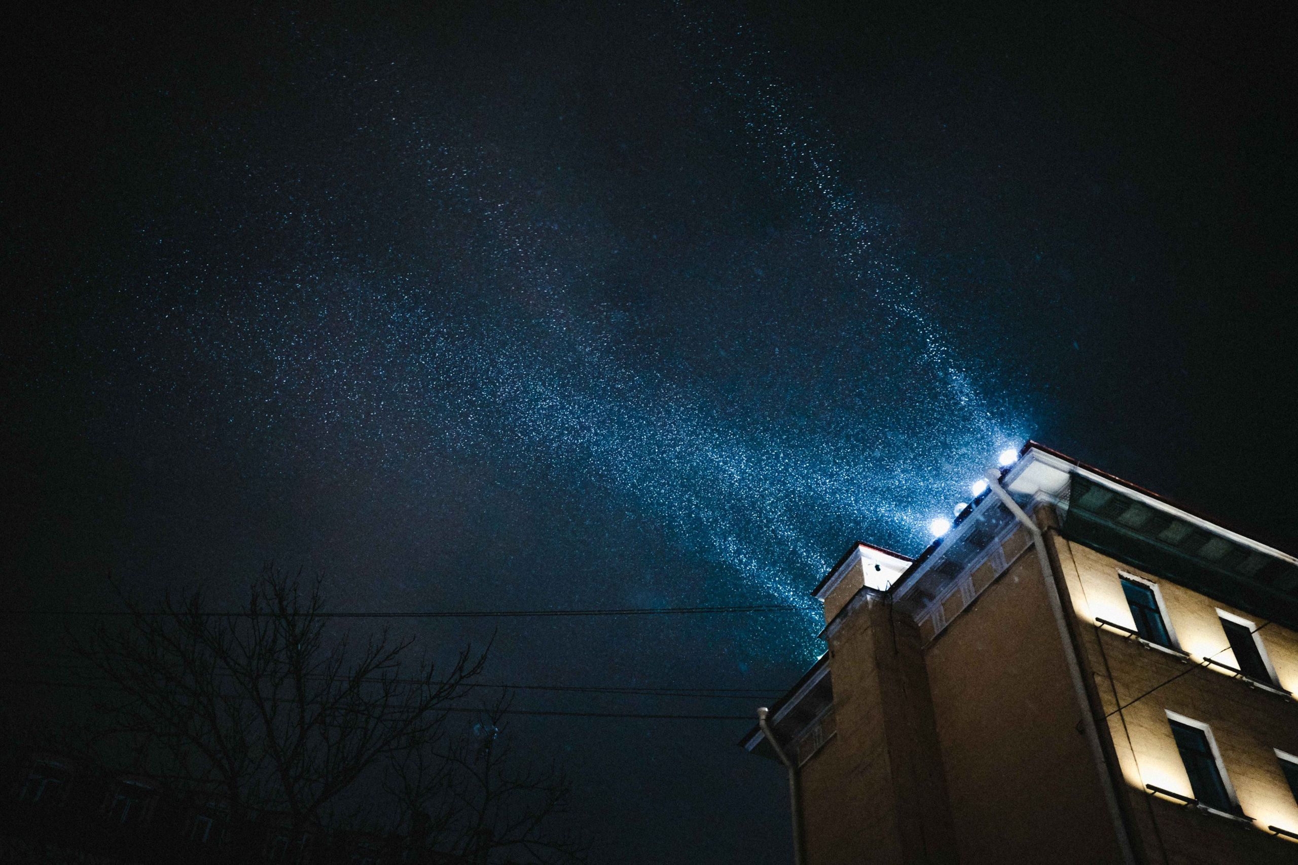 2021.12. Фотограф Алексей Алексеев