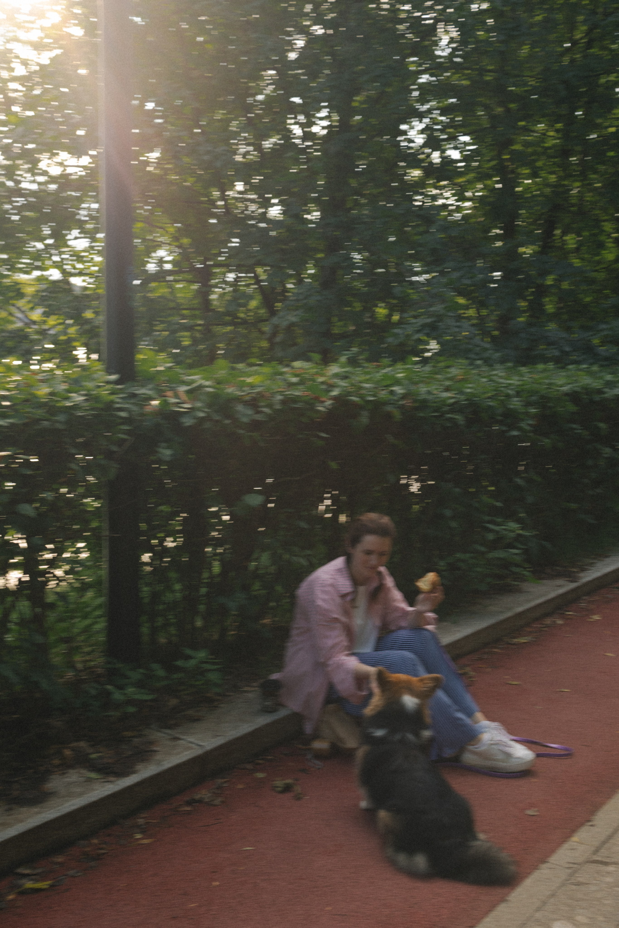 Мишель и Влада. Фотораф — анималист Мария Шистка