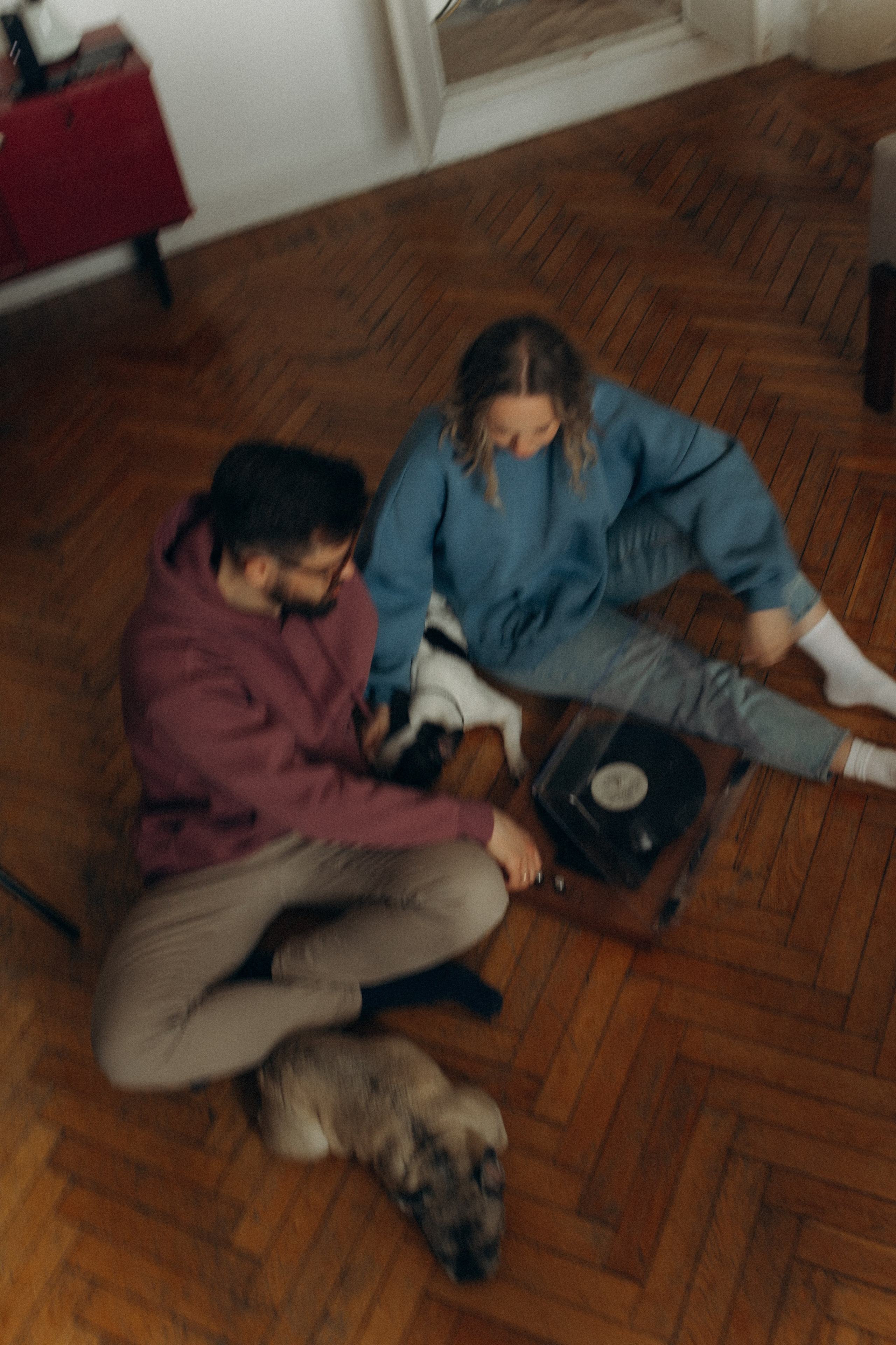 Зефирка, Булка и их Ро. Фотораф — анималист Мария Шистка