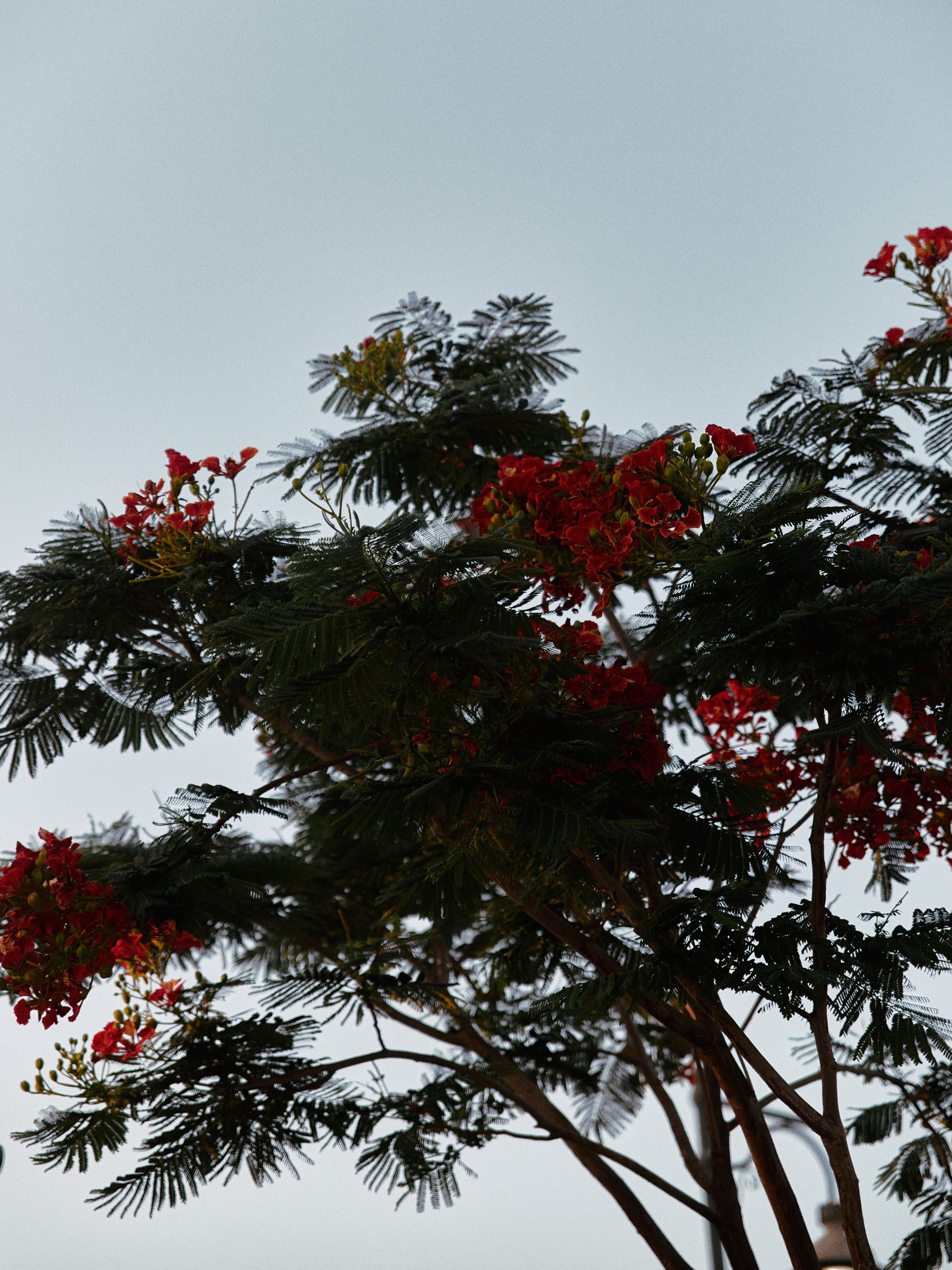 Диптих. Jorgis — фотограф в Хургаде / обучение фотографии