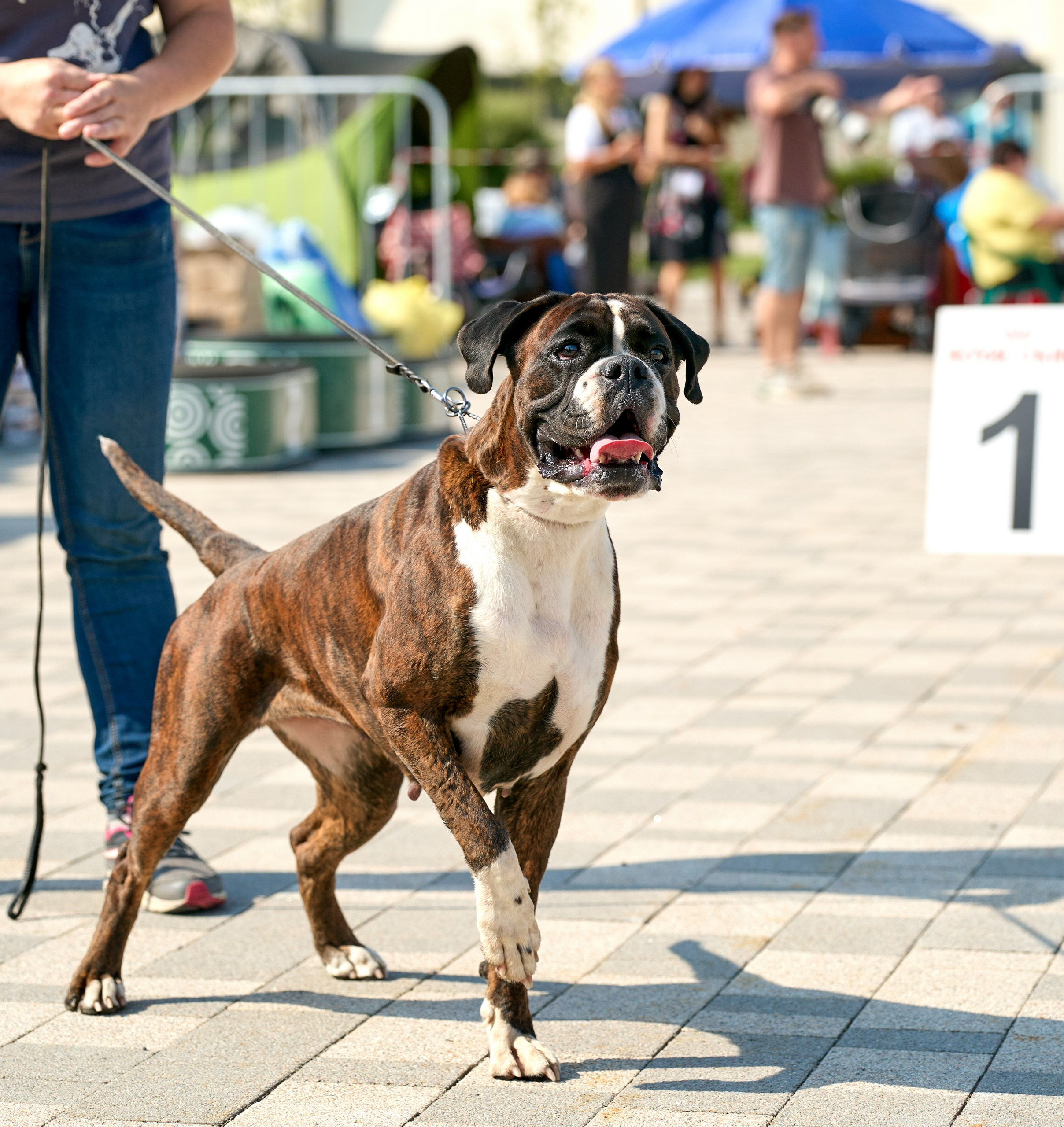Съемка на выставке Ясенево