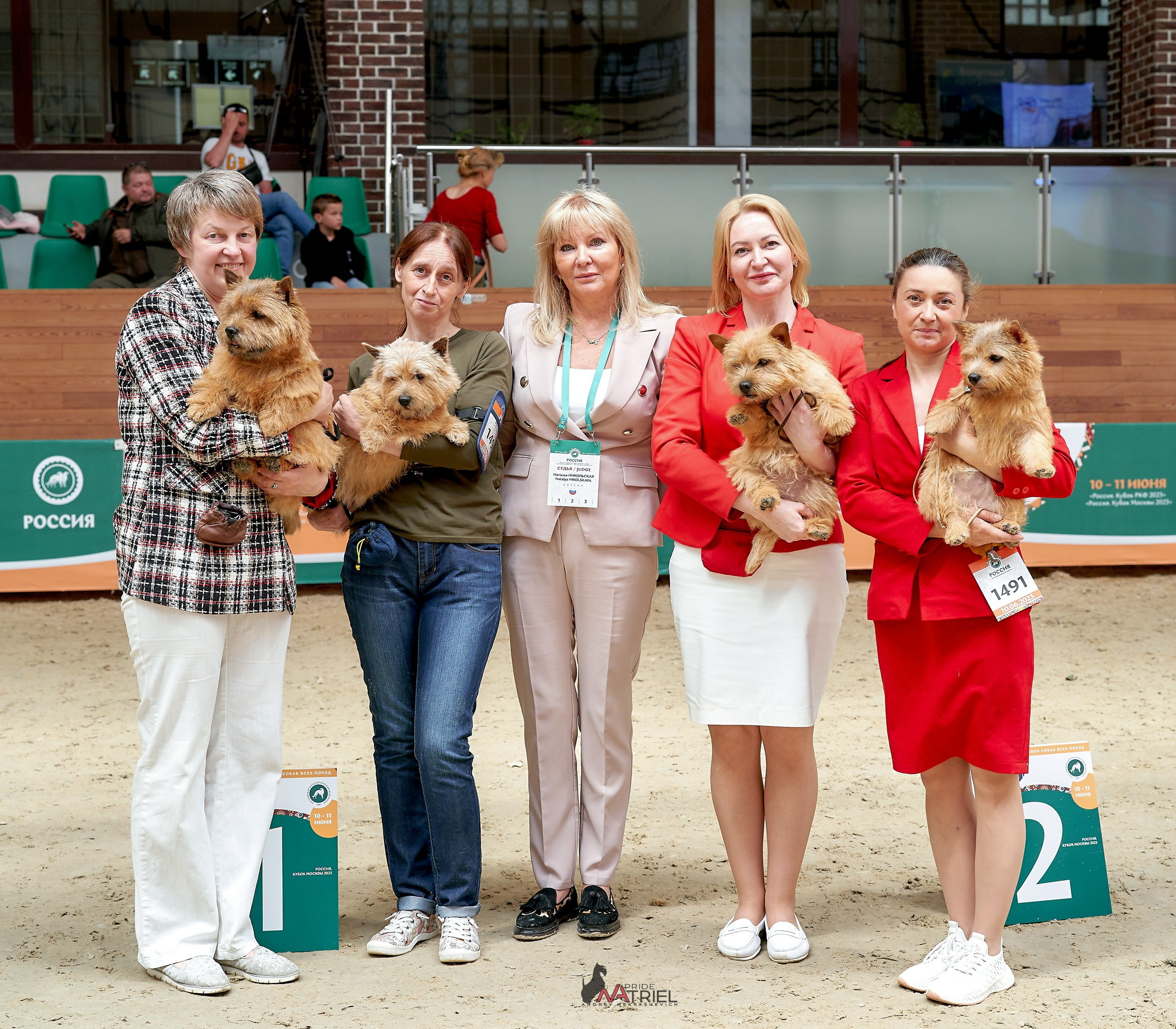 Призовые места — галерея NATRIEL