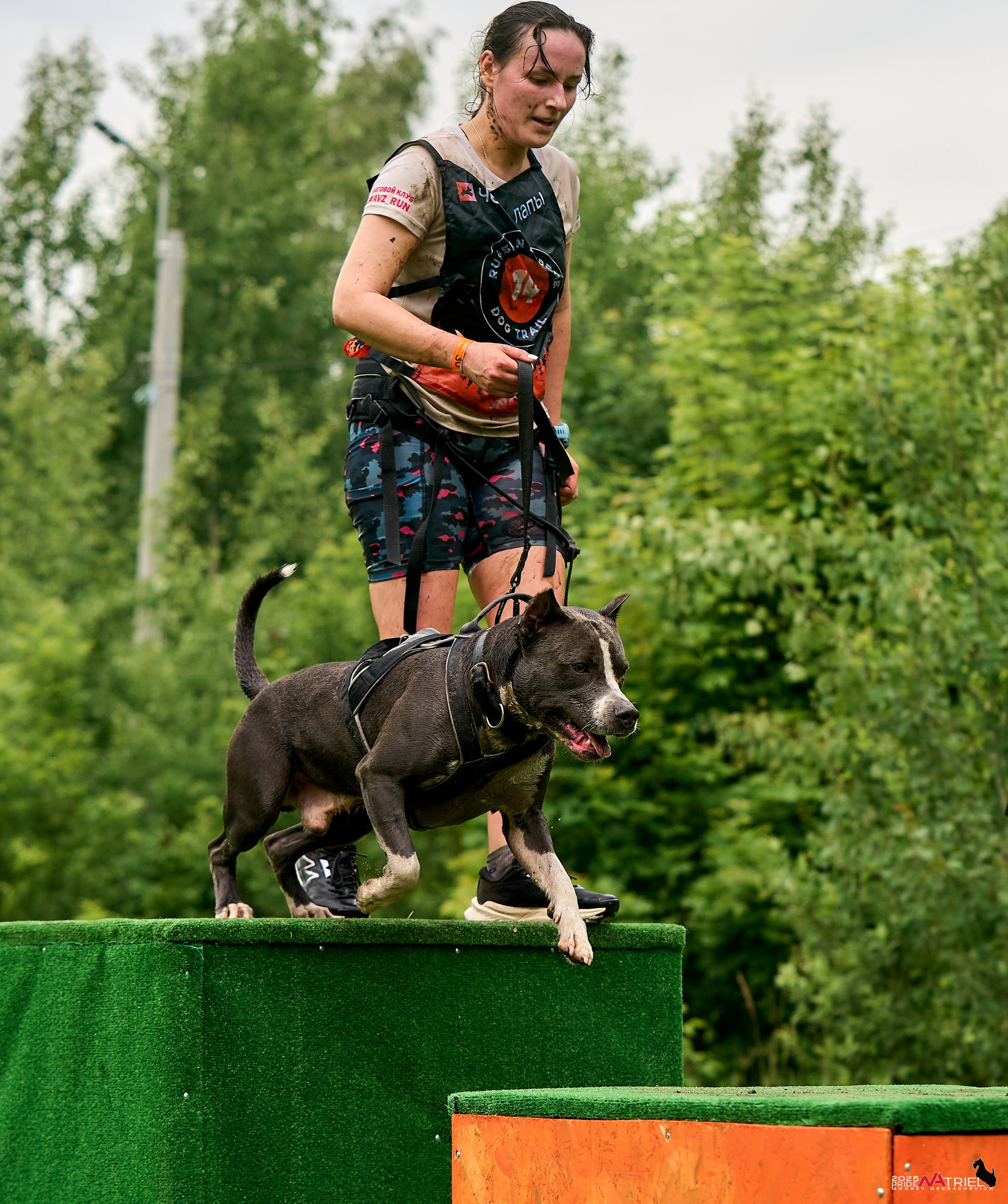 Russian Extreme Dog Trail — 2025