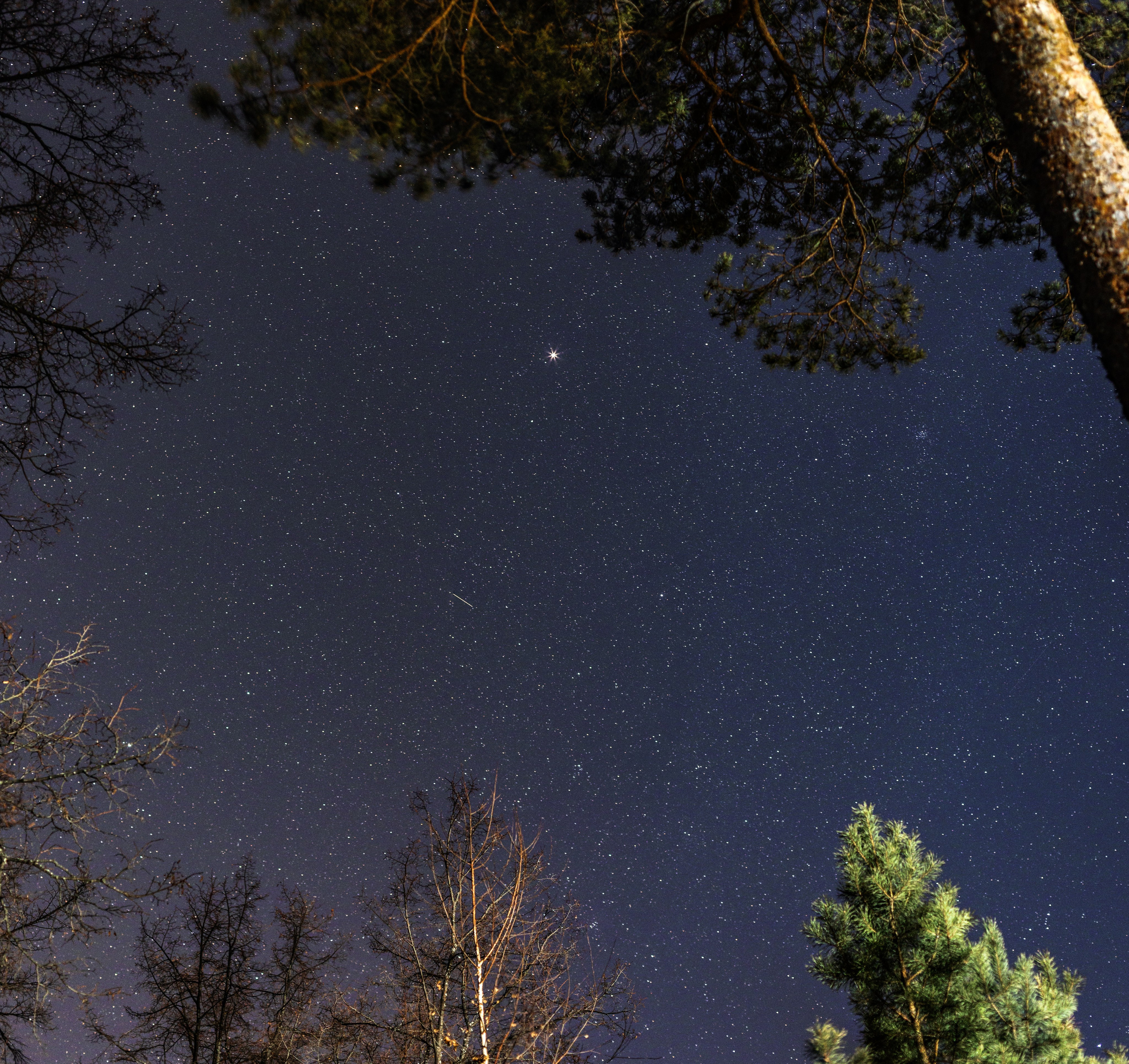 Пейзаж и город. Фотограф Леонид Мартенс