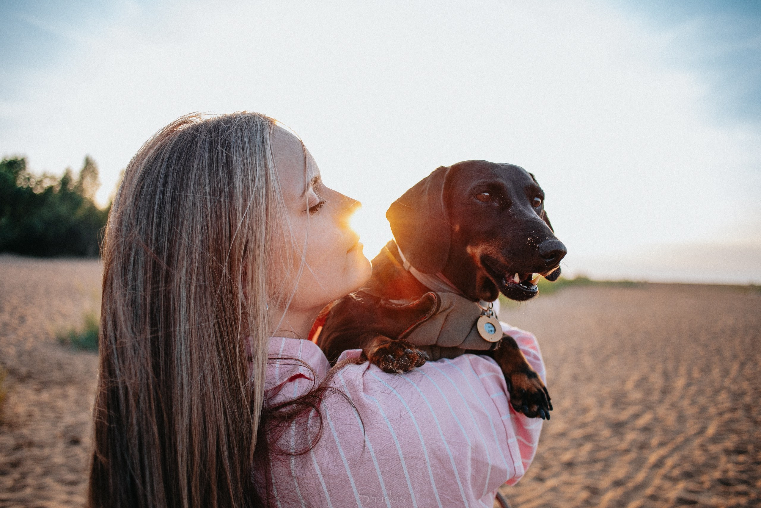Аня и Алиса. Главная