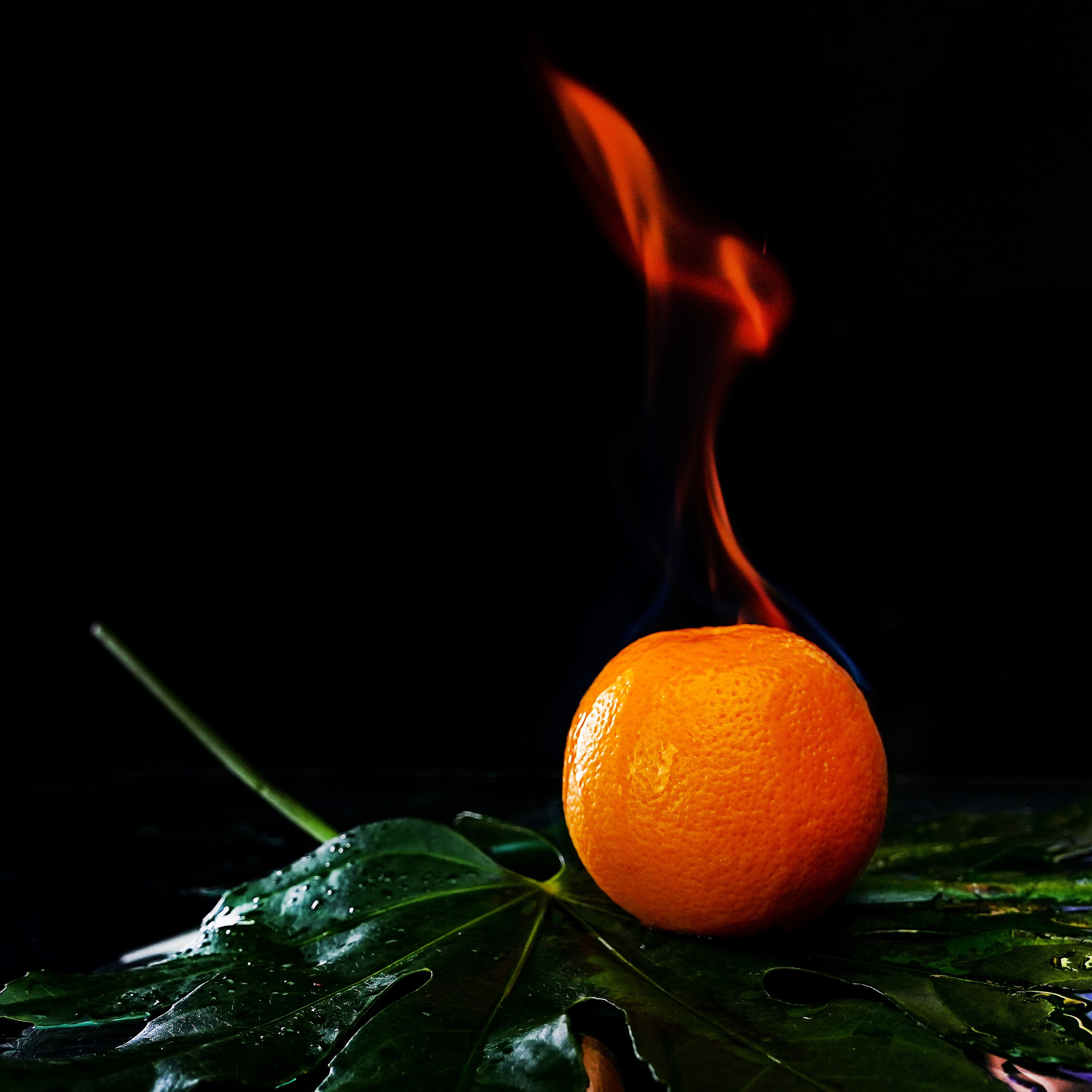 Предметная фотосъёмка. Фотограф, видеооператор Нина Коршунова