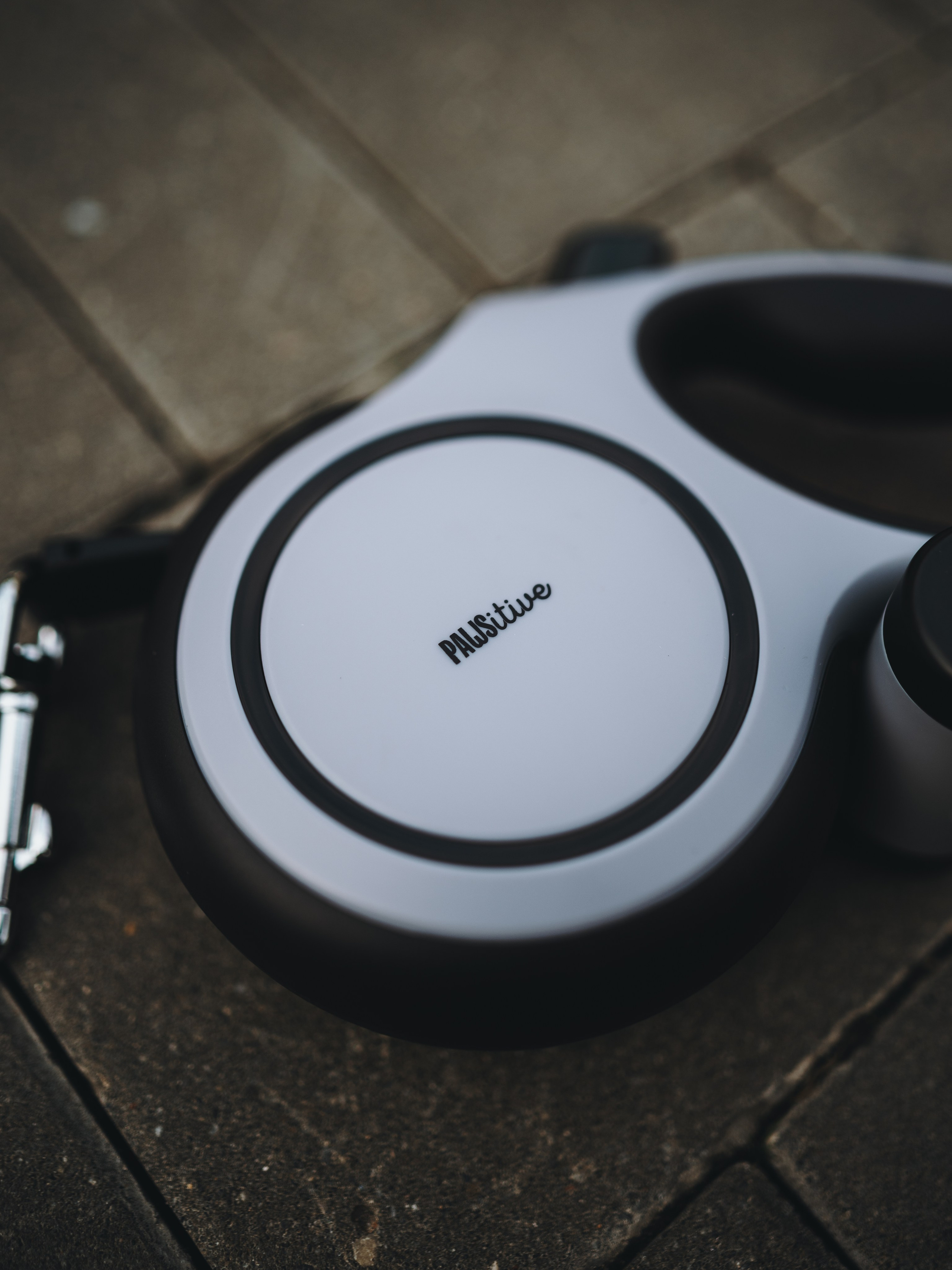 Pawsitive. Семейный фотограф анималист Ананьева Мария — Москва