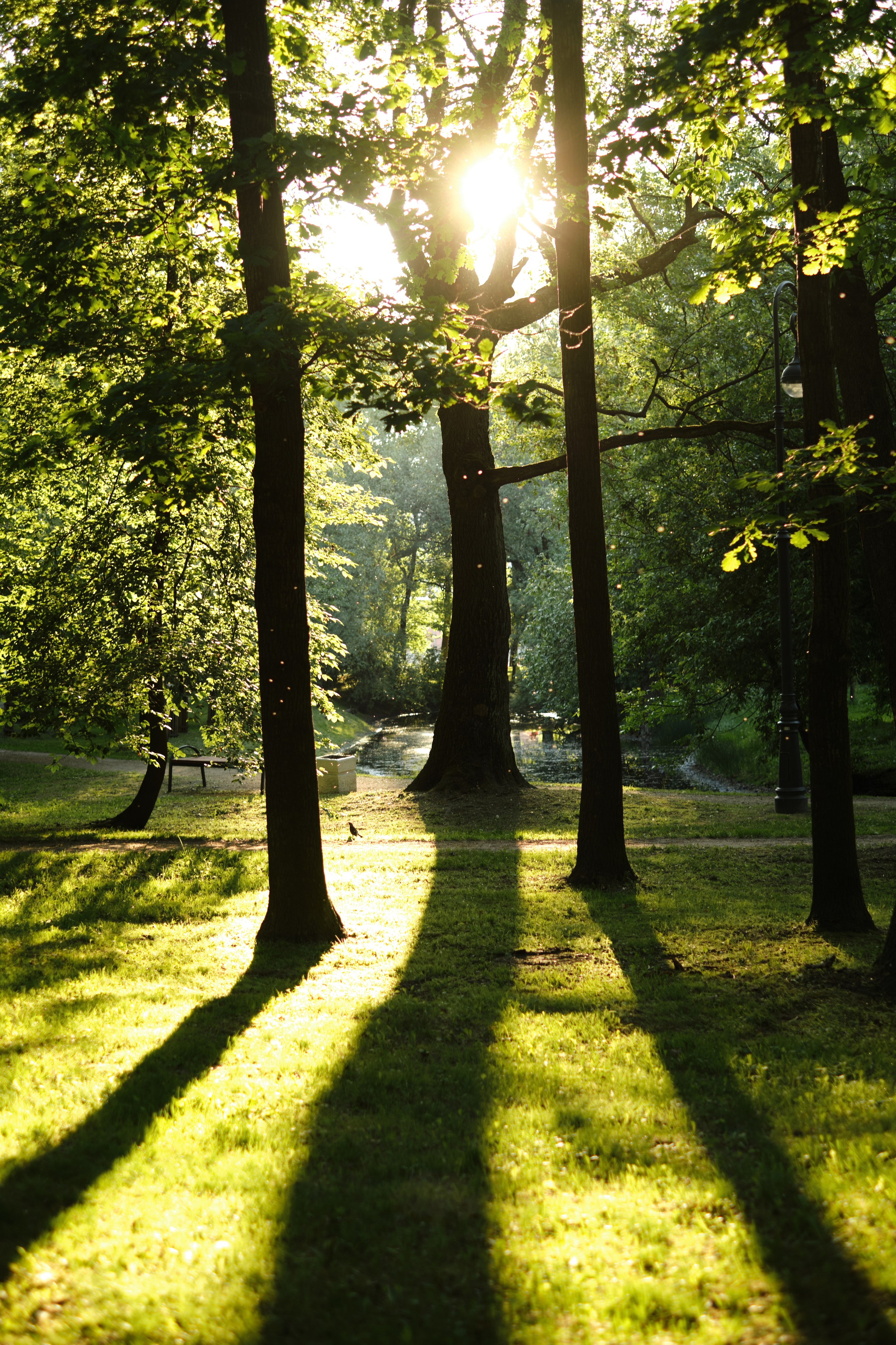 Саша. Фотограф в Санкт-Петербурге Мария Комолитдинова